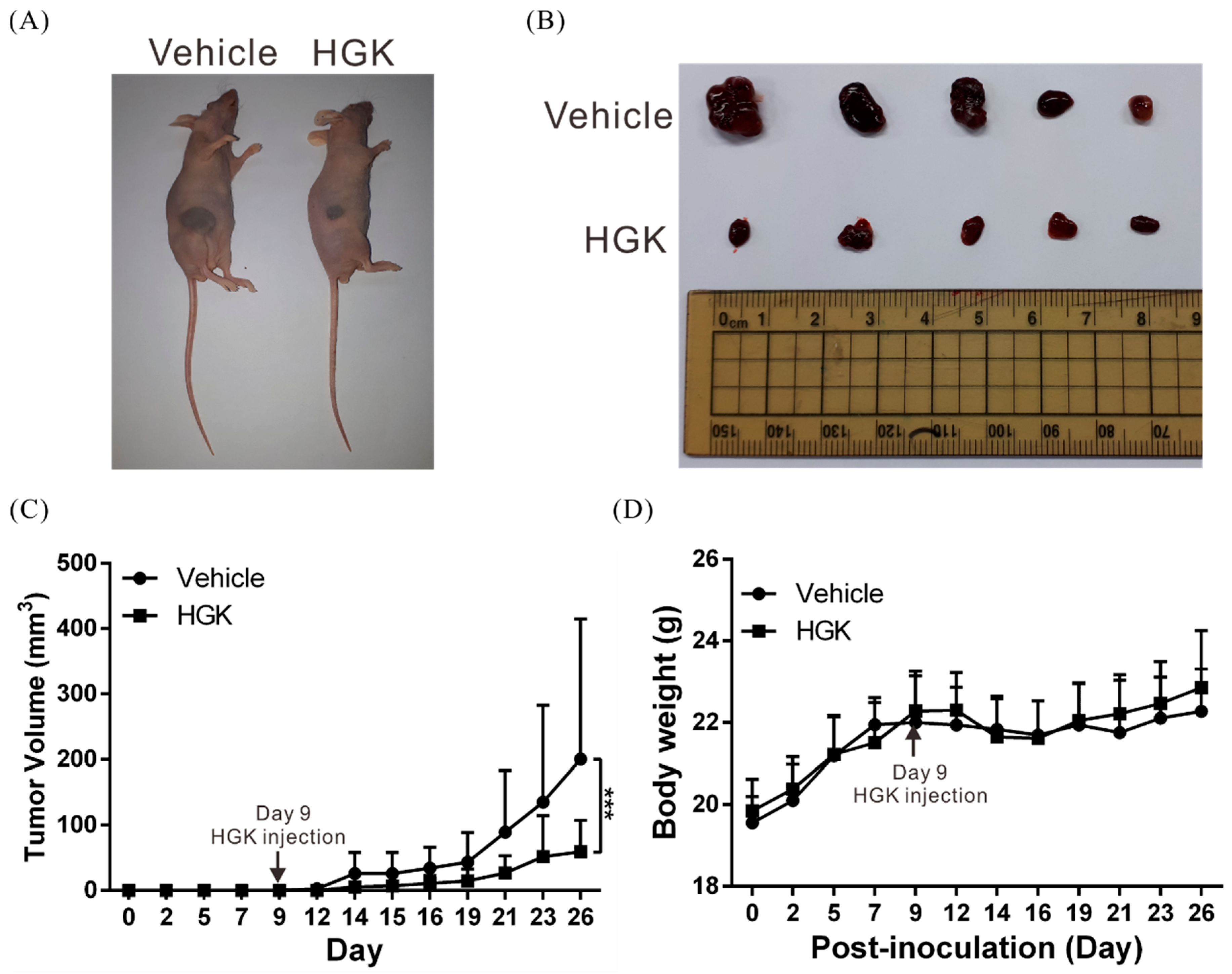 Biomolecules 10 00020 g002 Biomolecules 10 00020 g002