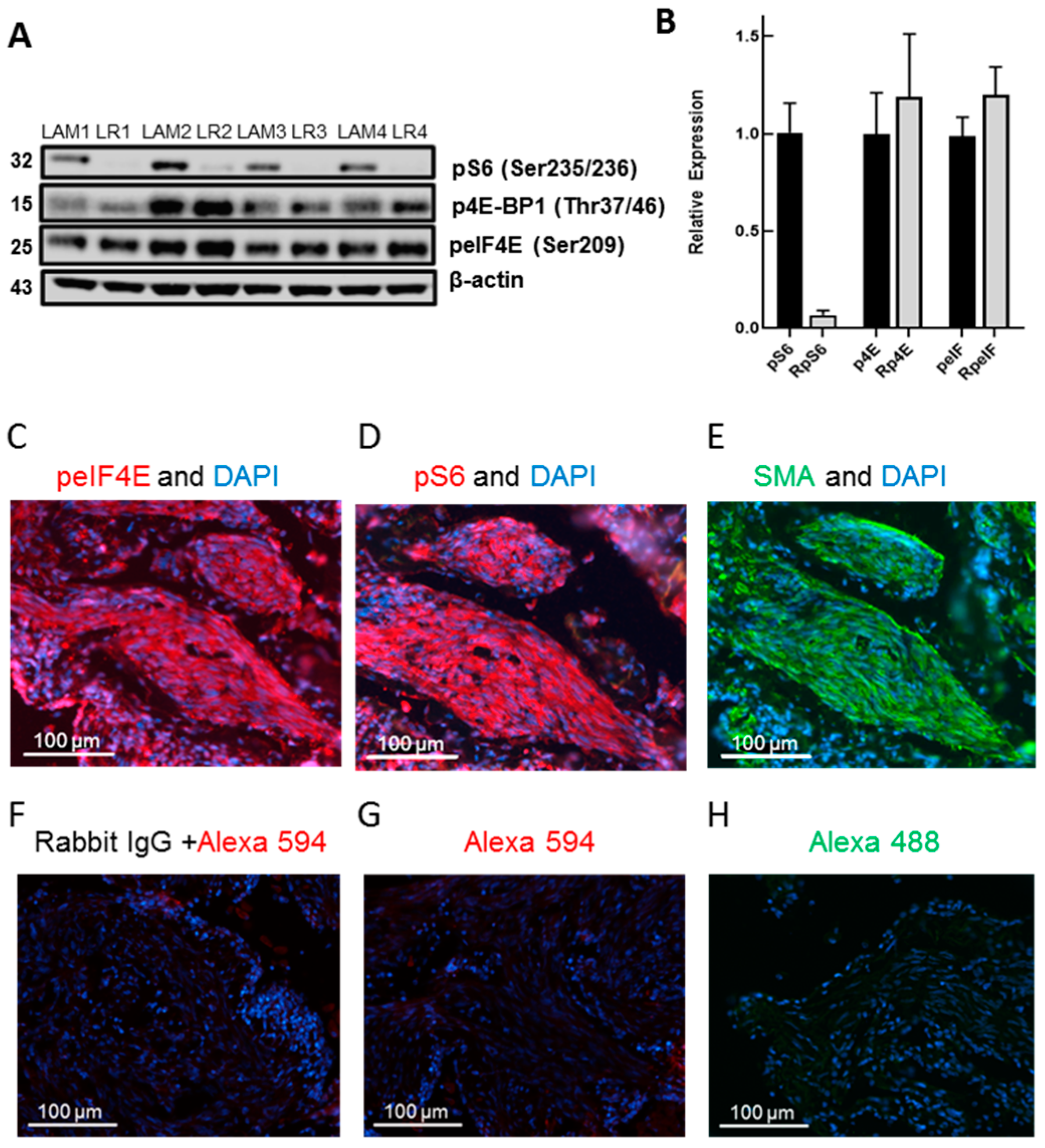 Biomolecules 10 00028 g002 Biomolecules 10 00028 g002