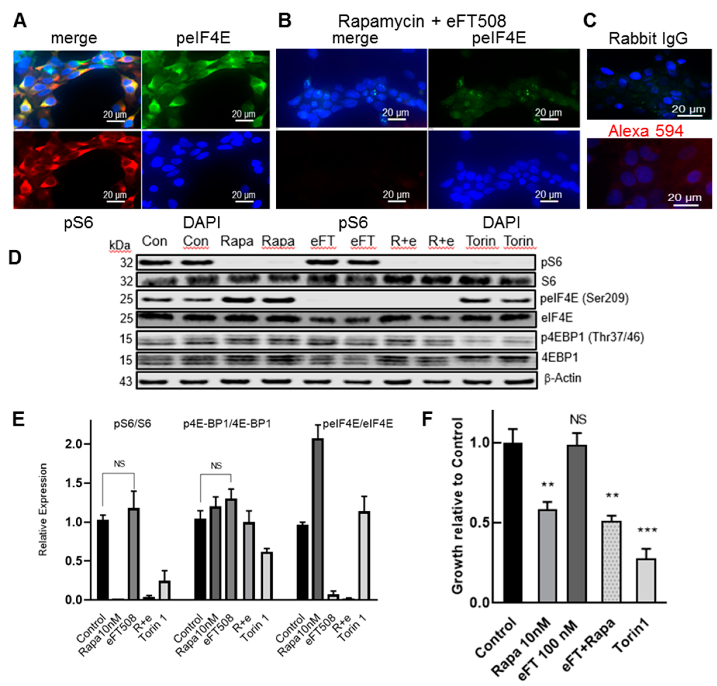 Biomolecules 10 00028 g003 Biomolecules 10 00028 g003