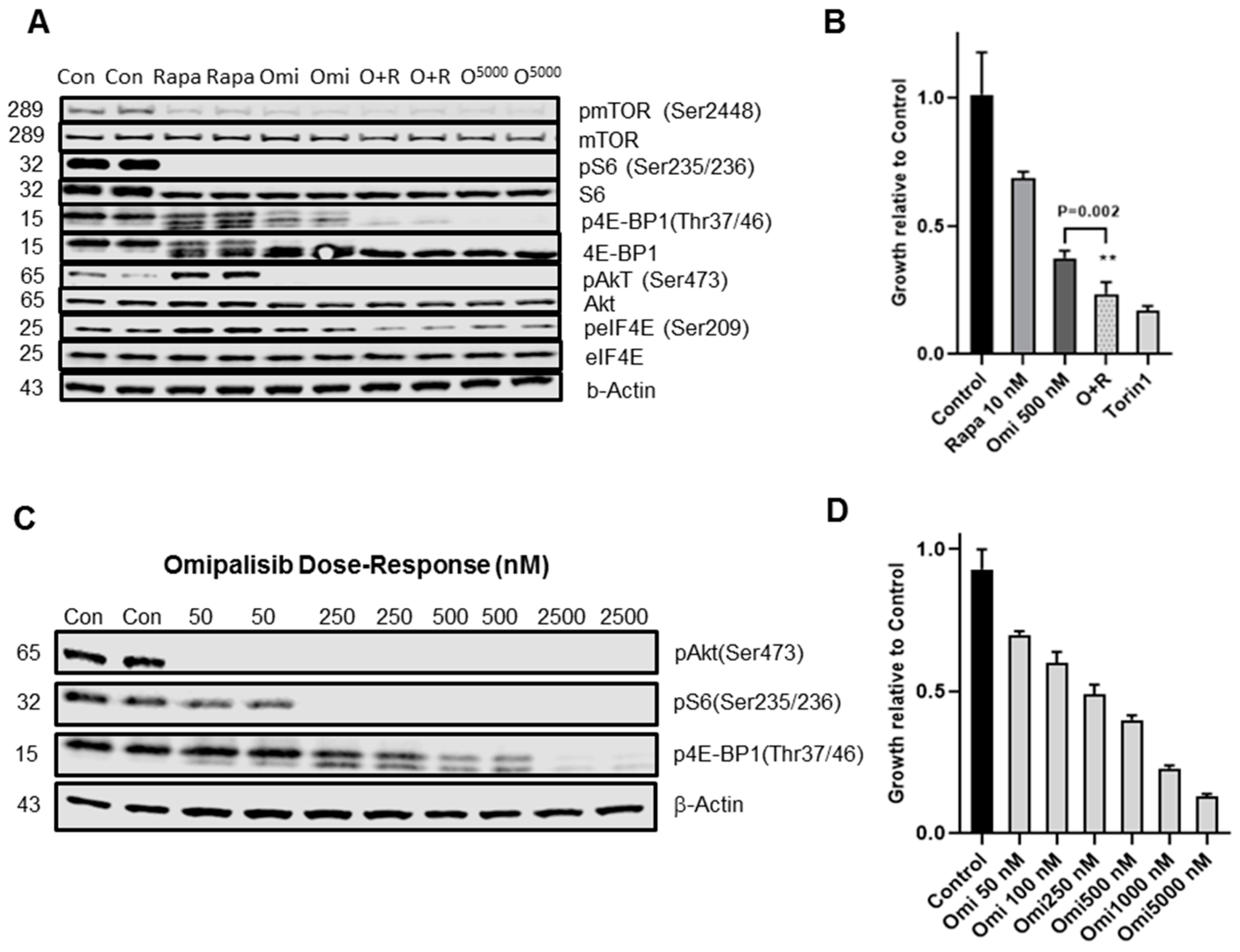 Biomolecules 10 00028 g004 Biomolecules 10 00028 g004
