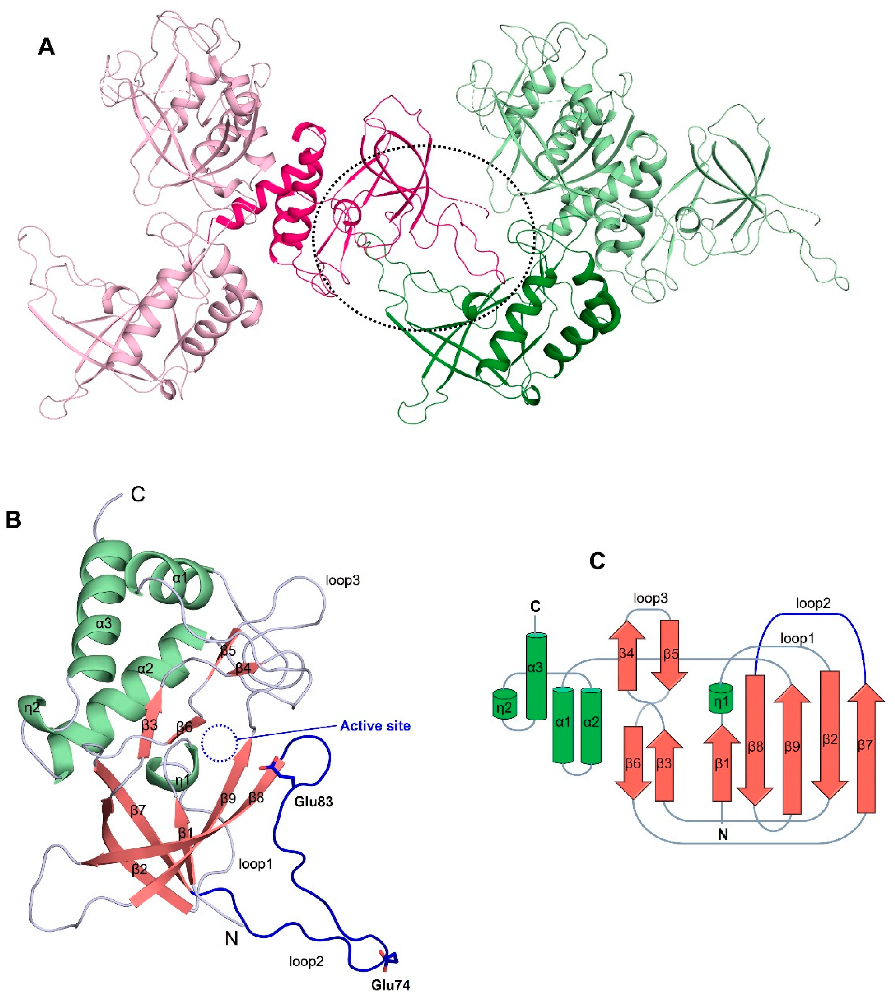 Biomolecules 10 00031 g001
