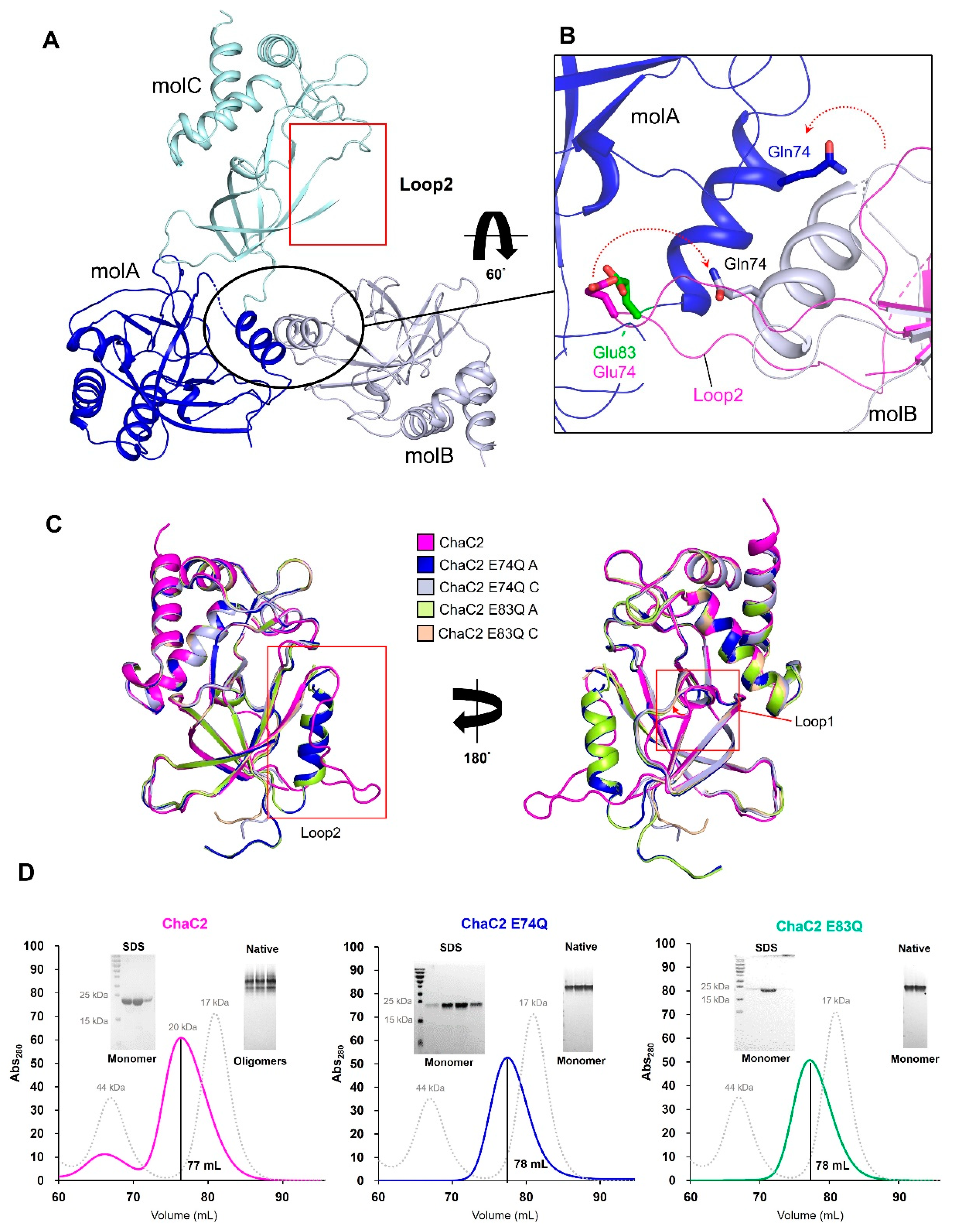 Biomolecules 10 00031 g004