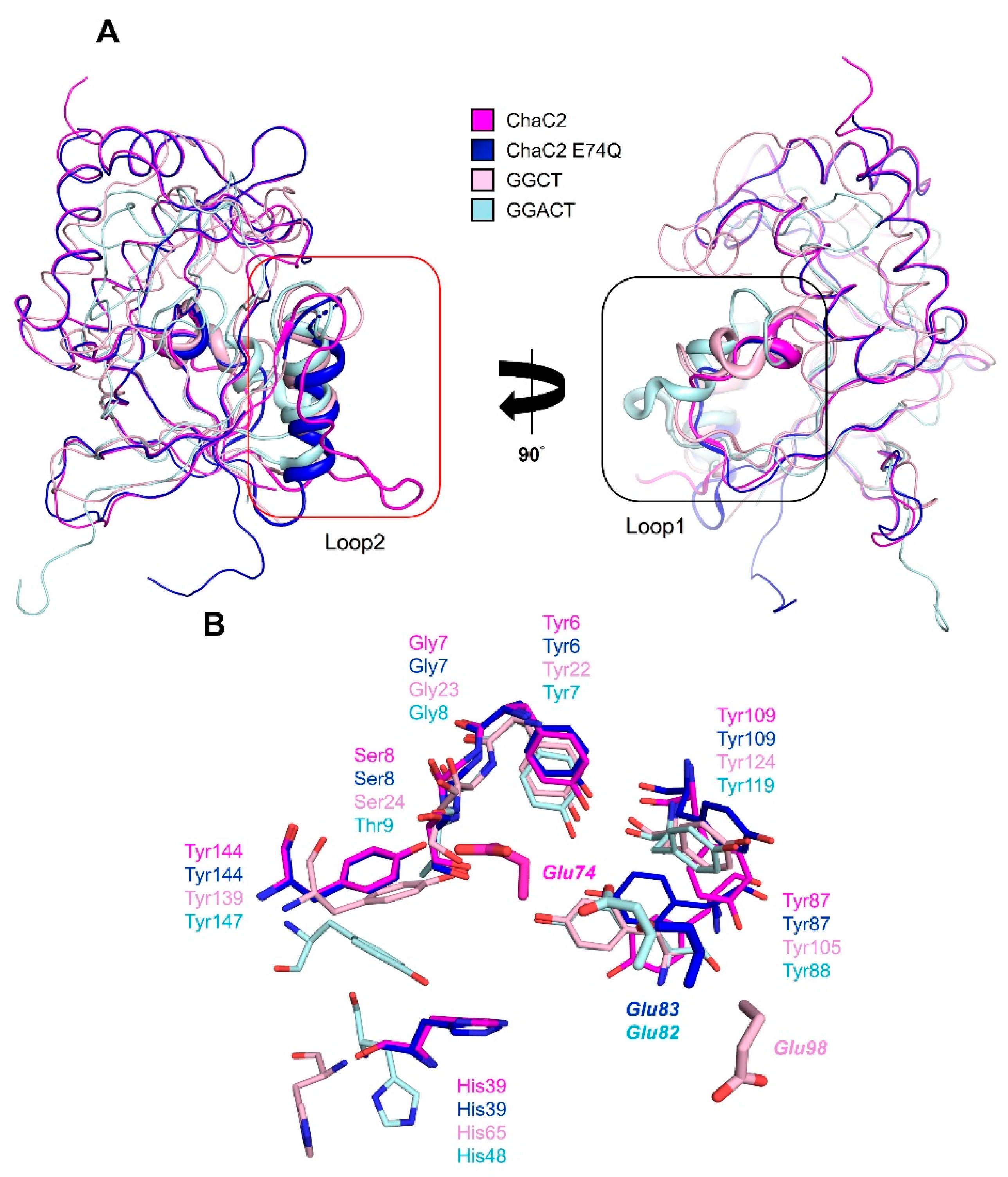 Biomolecules 10 00031 g005