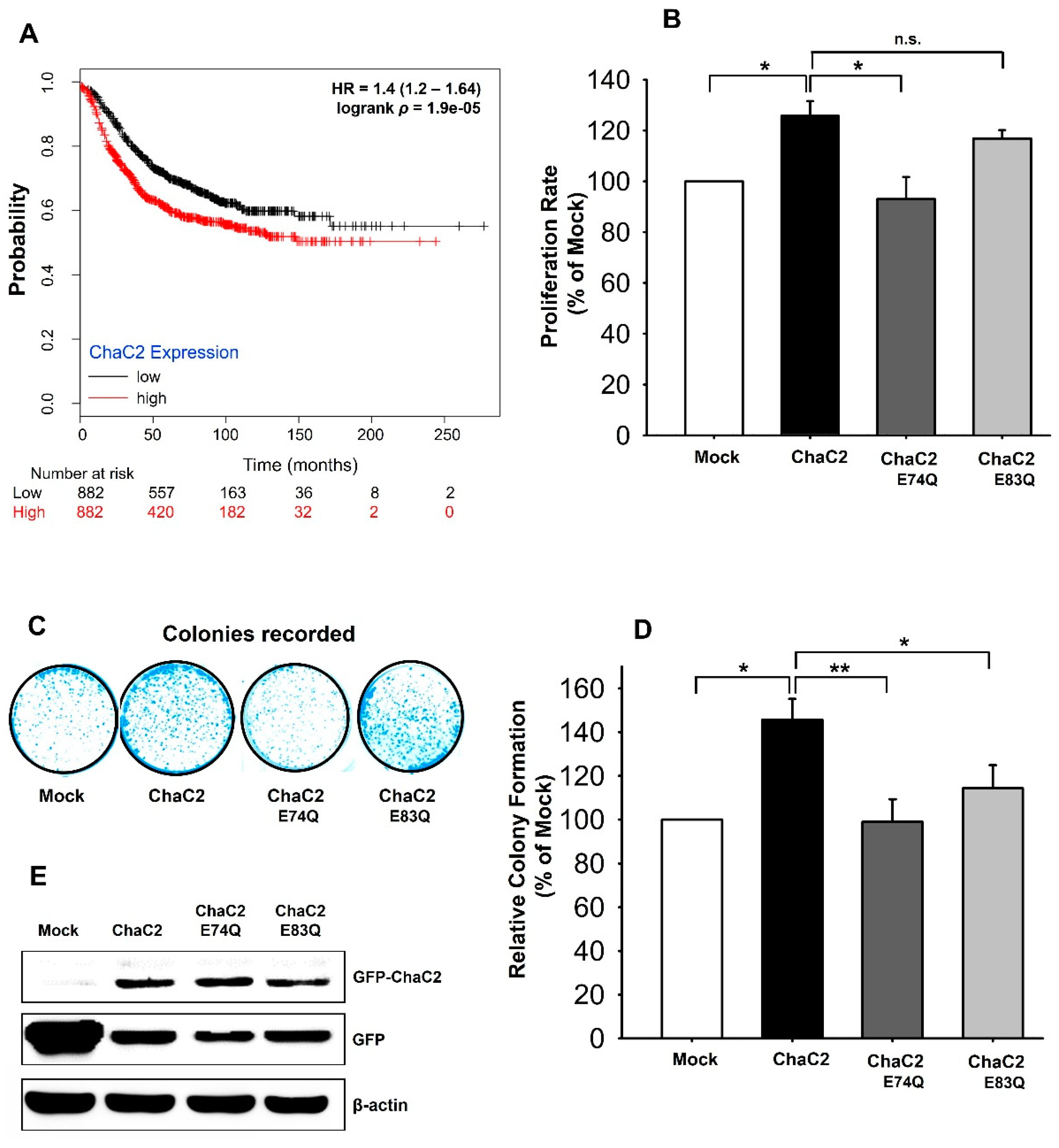 Biomolecules 10 00031 g007