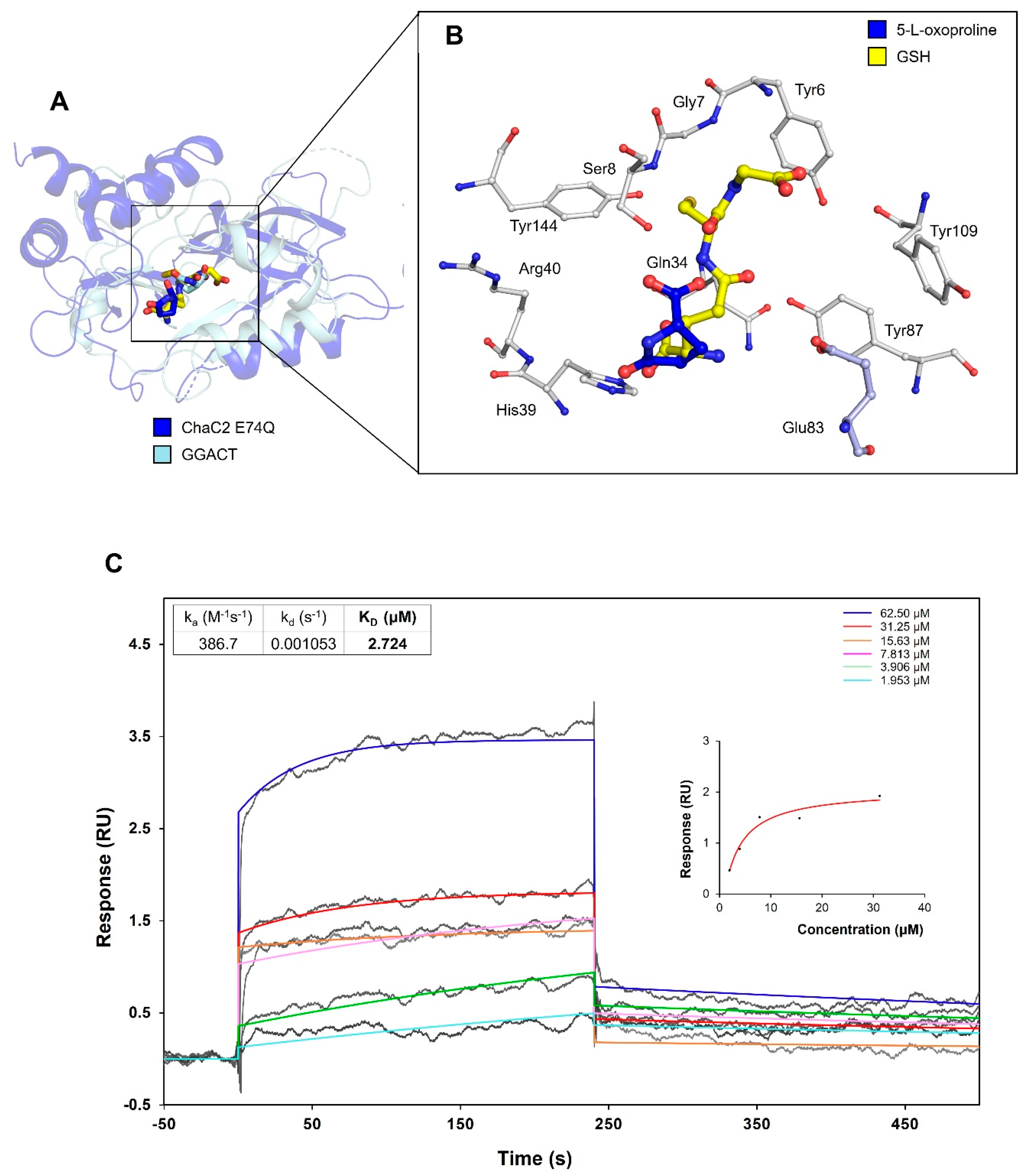 Biomolecules 10 00031 g008