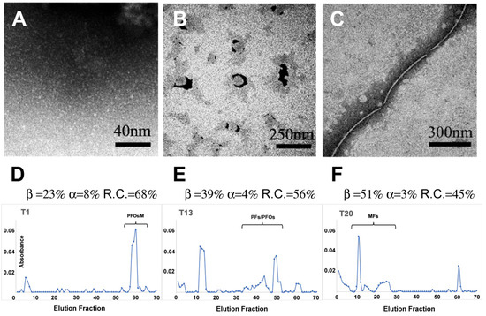 Biomolecules Free Full Text The Interaction Between Amyloid Prefibrillar Oligomers Of Salmon Calcitonin And A Lipid Raft Model Molecular Mechanisms Leading To Membrane Damage Ca2 Influx And Neurotoxicity Html