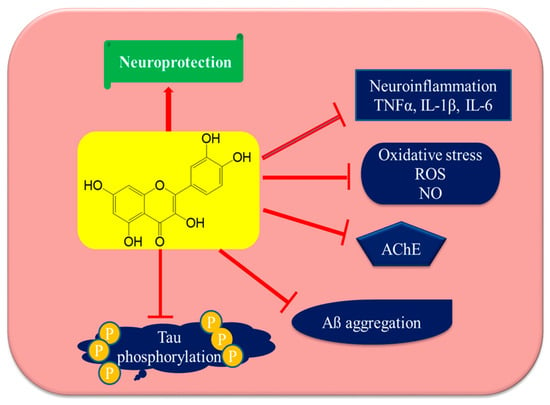 Biomolecules Free Full Text Neuroprotective Effects Of Quercetin In Alzheimer S Disease Html