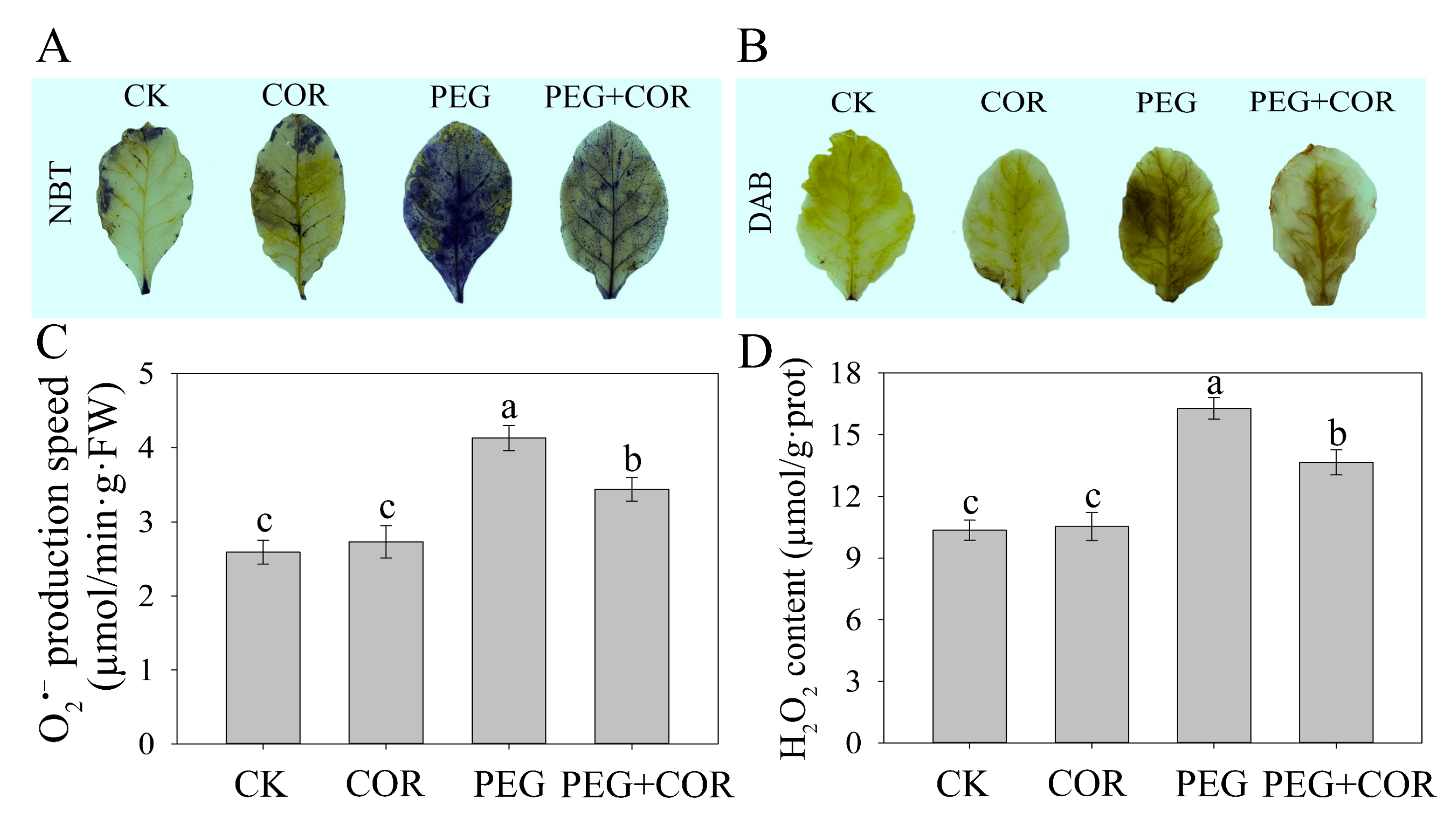Biomolecules 10 00099 g002