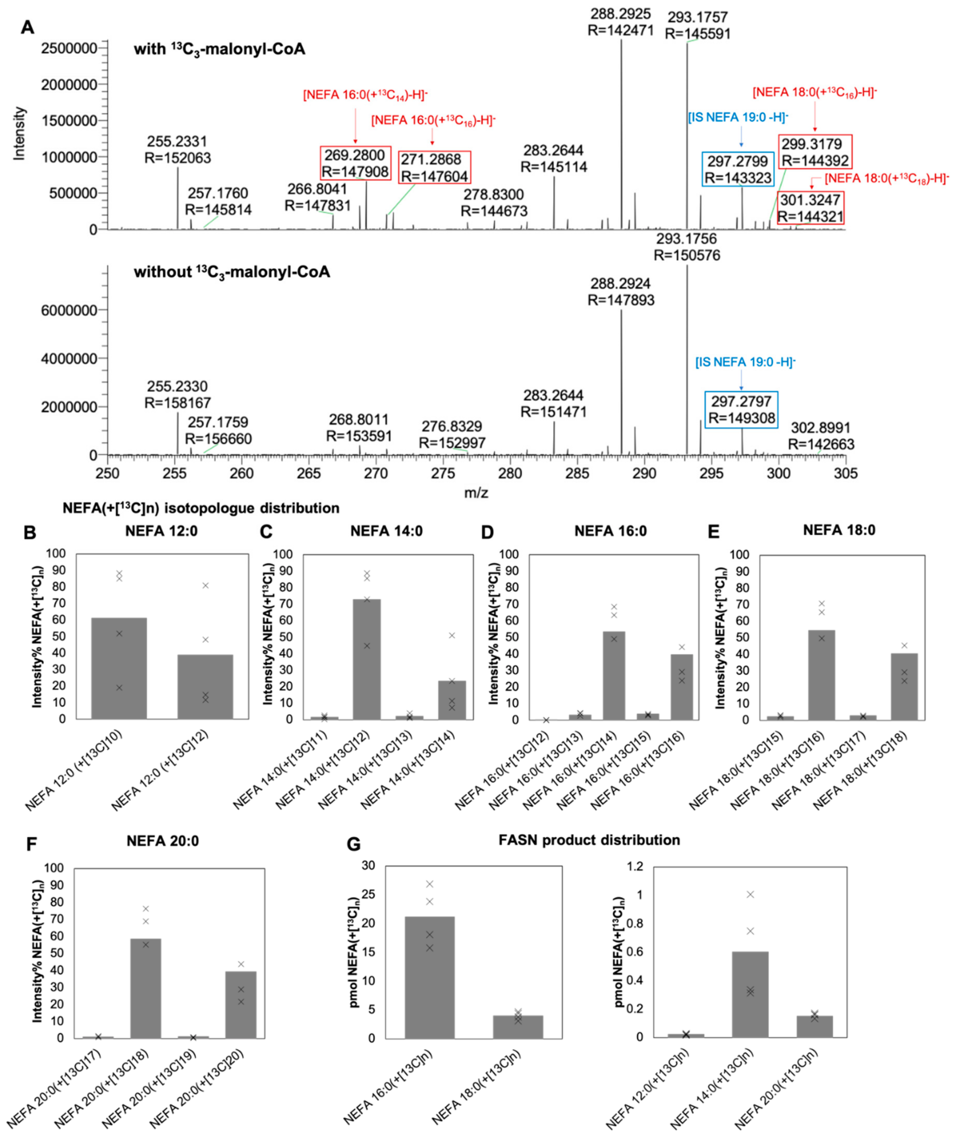 Biomolecules 10 00118 g001