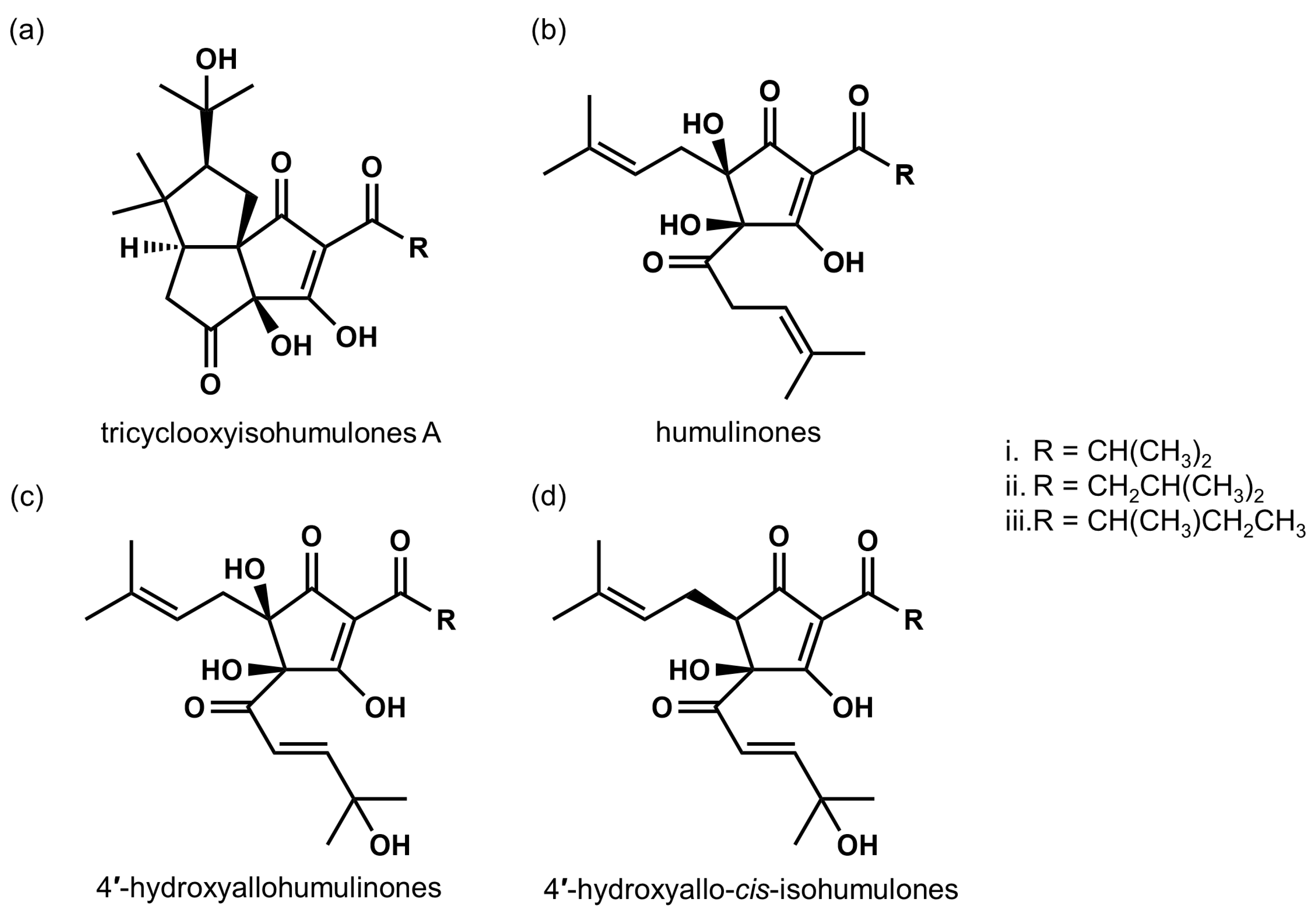 Biomolecules 10 00131 g002 Biomolecules 10 00131 g002