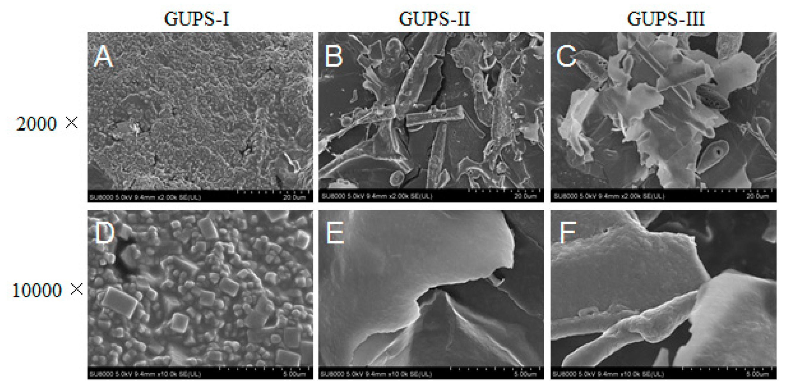 Biomolecules 10 00159 g003 Biomolecules 10 00159 g003