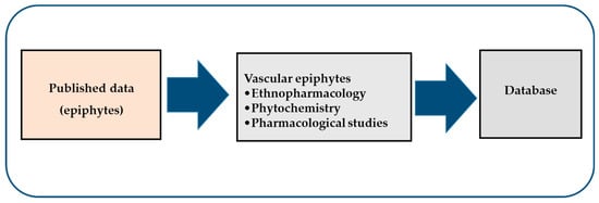 Biomolecules Free Full Text Vascular Epiphytic Medicinal Plants As Sources Of Therapeutic Agents Their Ethnopharmacological Uses Chemical Composition And Biological Activities Html