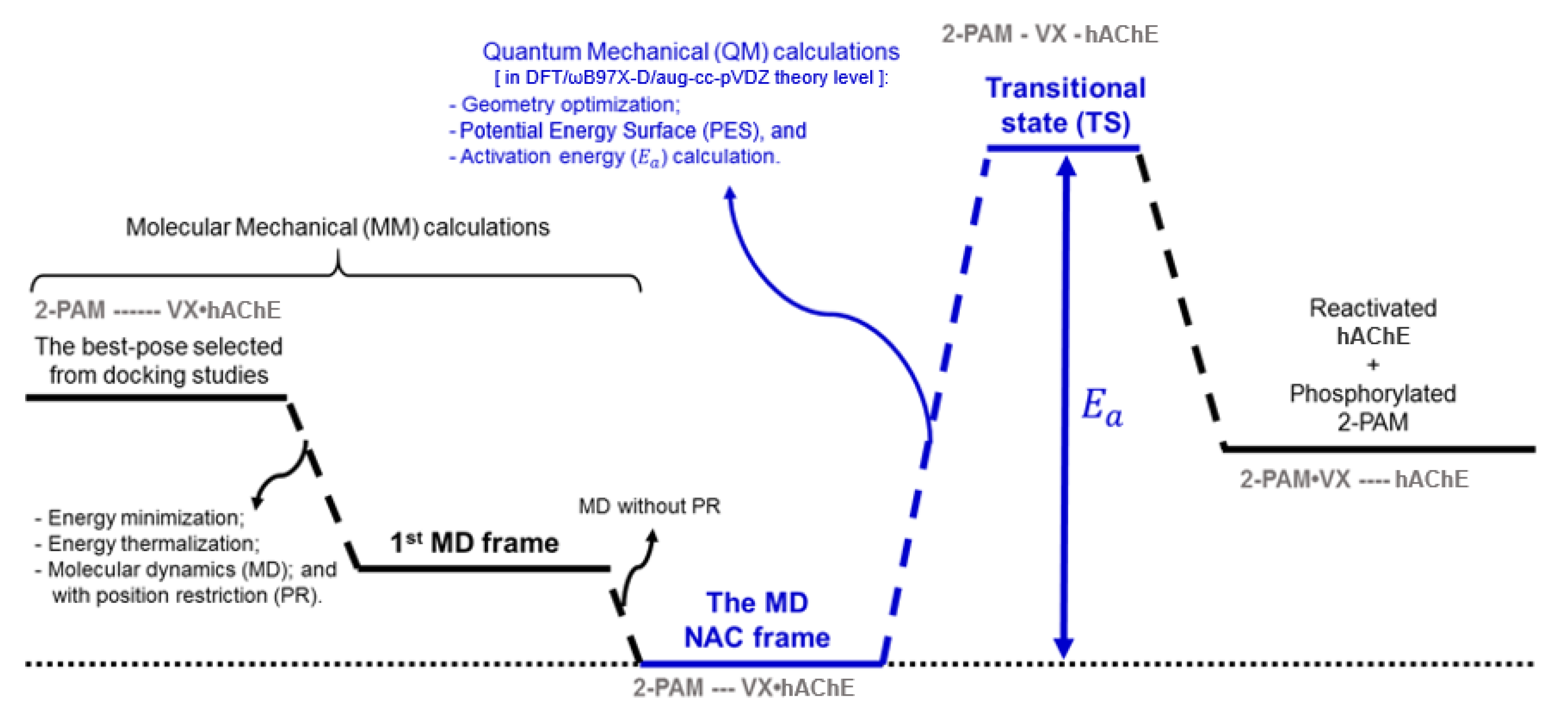Biomolecules 10 00192 g002 Biomolecules 10 00192 g002