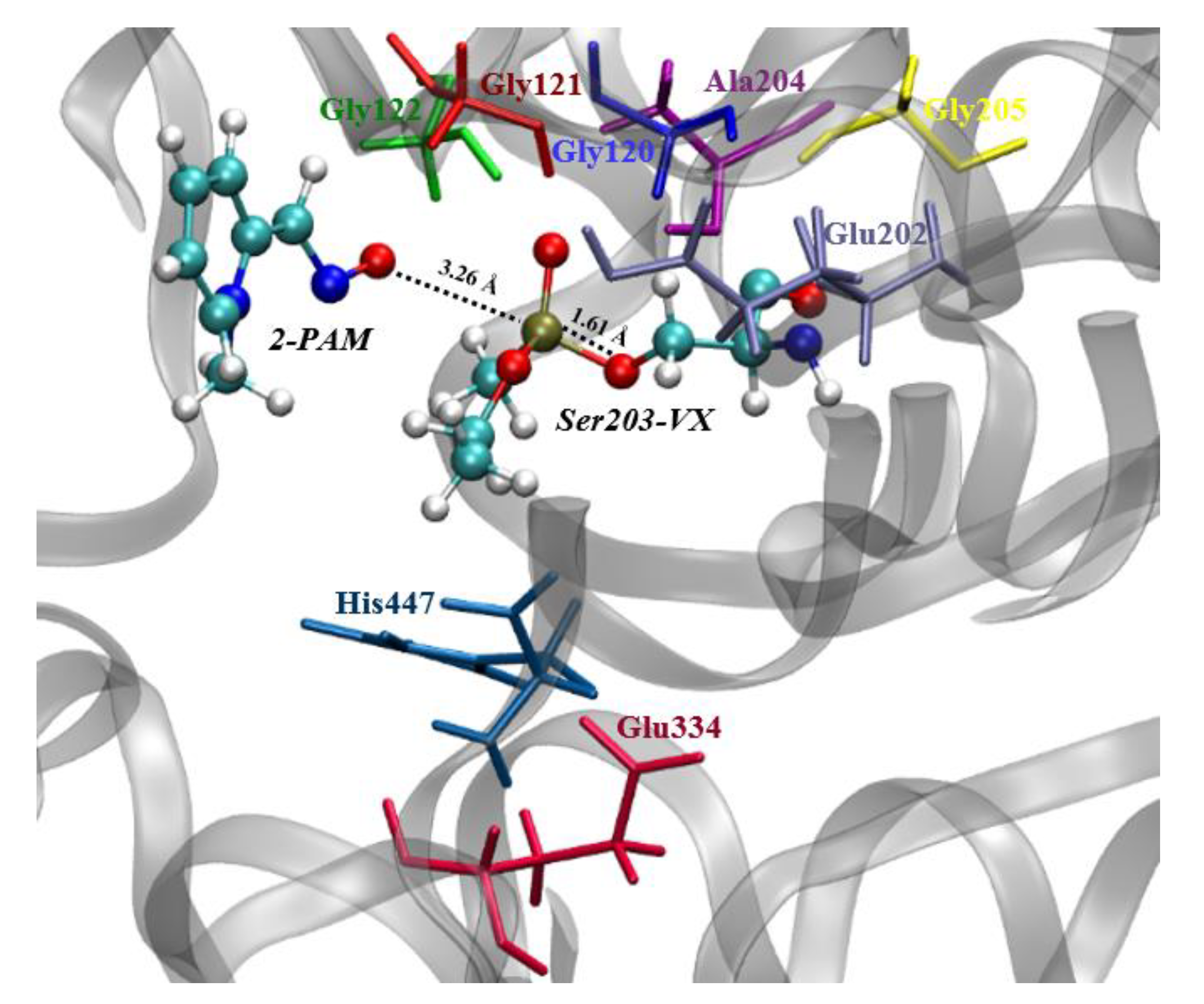 Biomolecules 10 00192 g003 Biomolecules 10 00192 g003