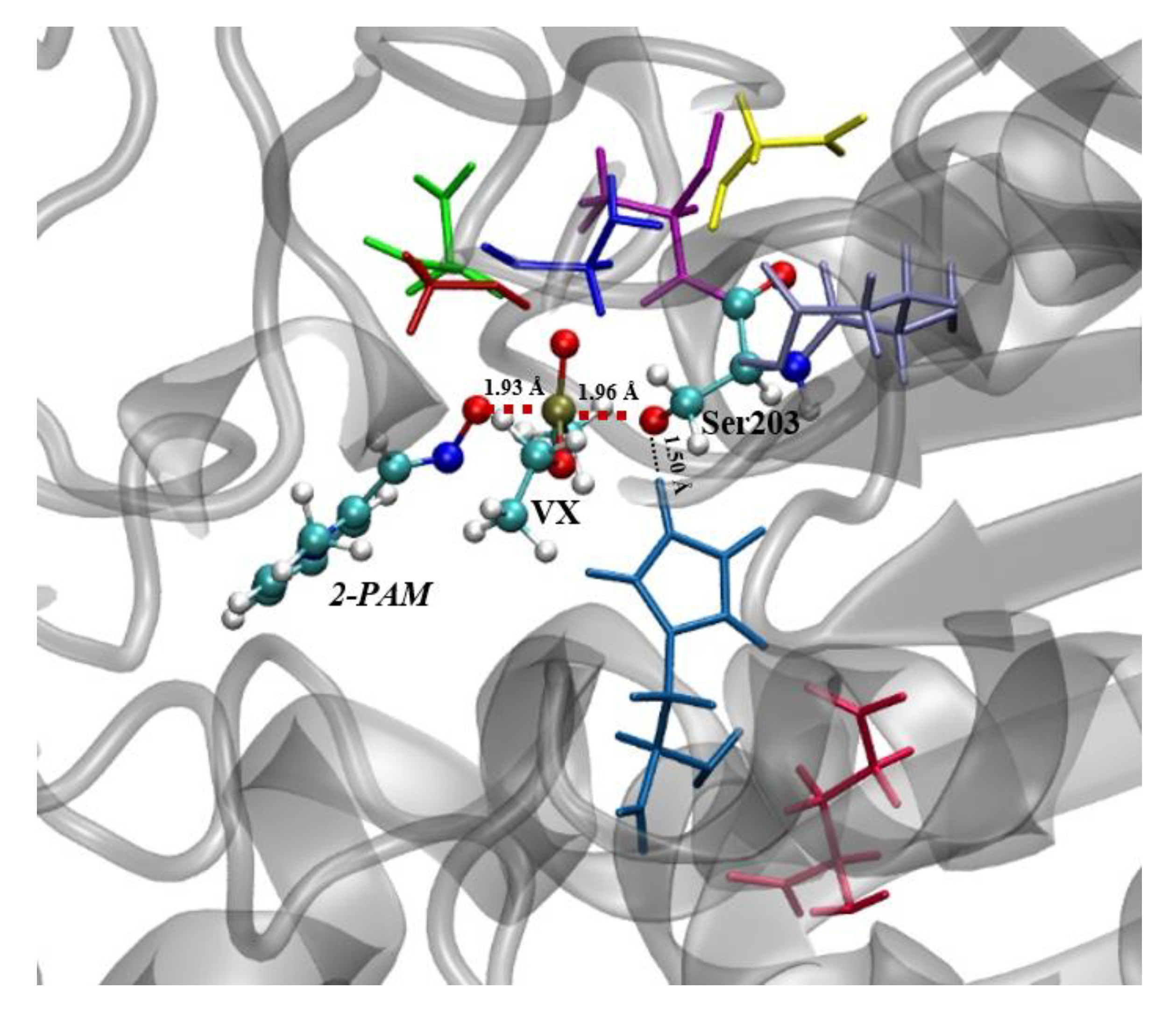 Biomolecules 10 00192 g004 Biomolecules 10 00192 g004