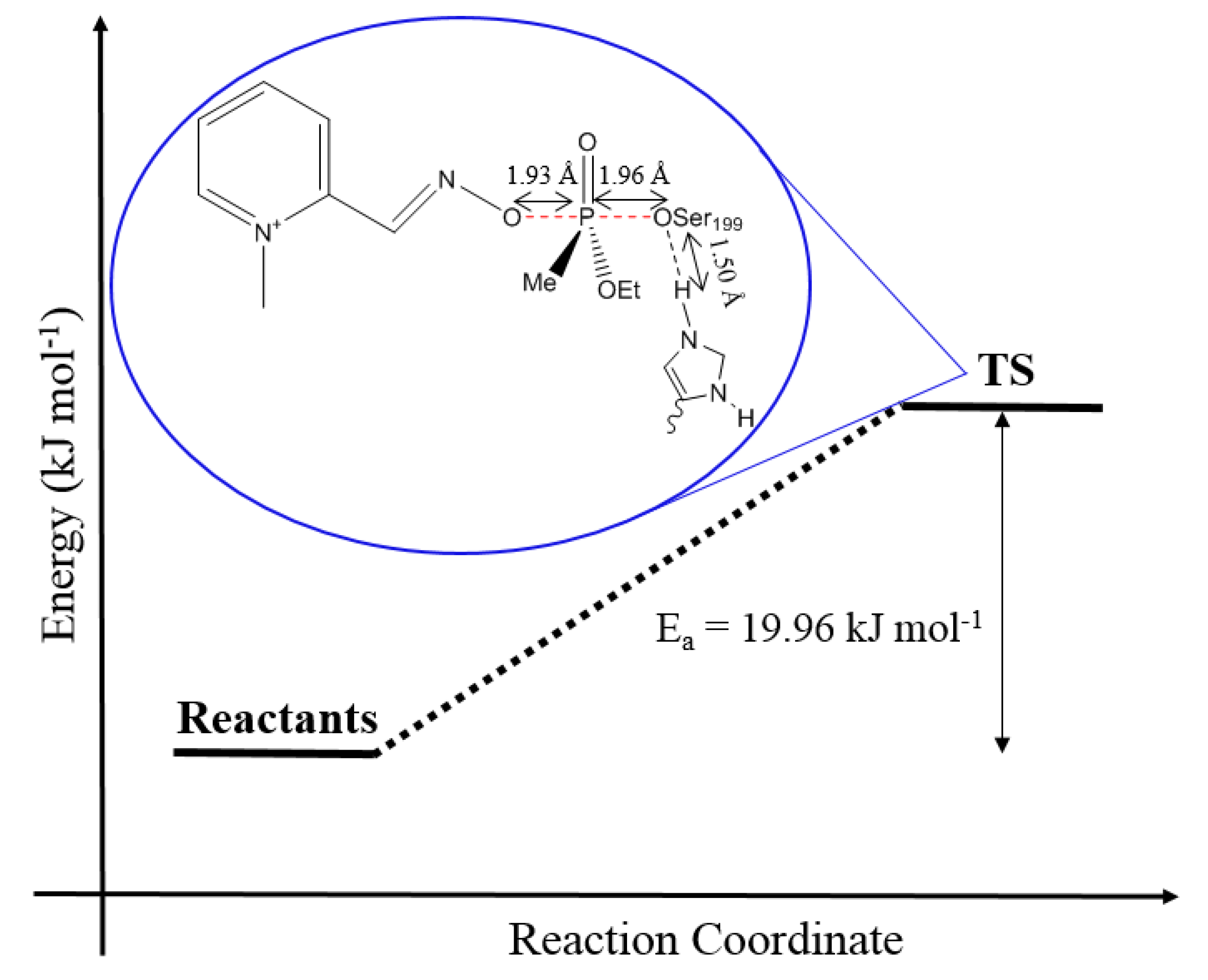 Biomolecules 10 00192 g005 Biomolecules 10 00192 g005