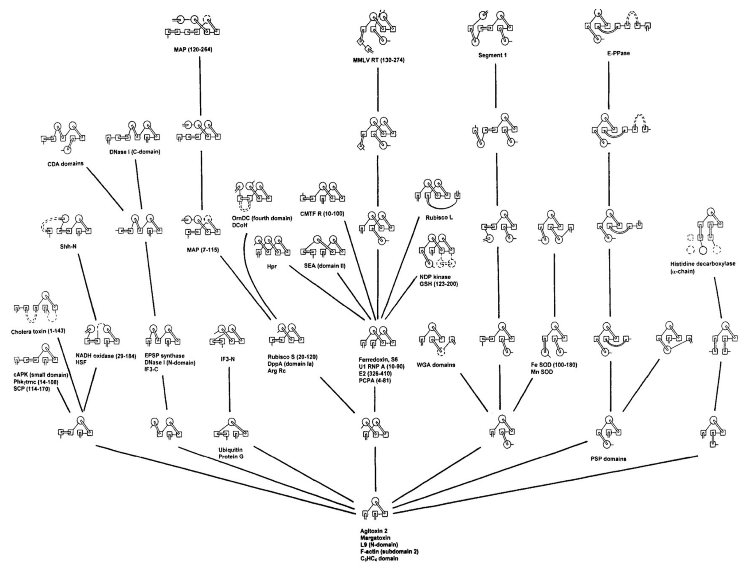 Biomolecules 10 00193 g001 Biomolecules 10 00193 g001