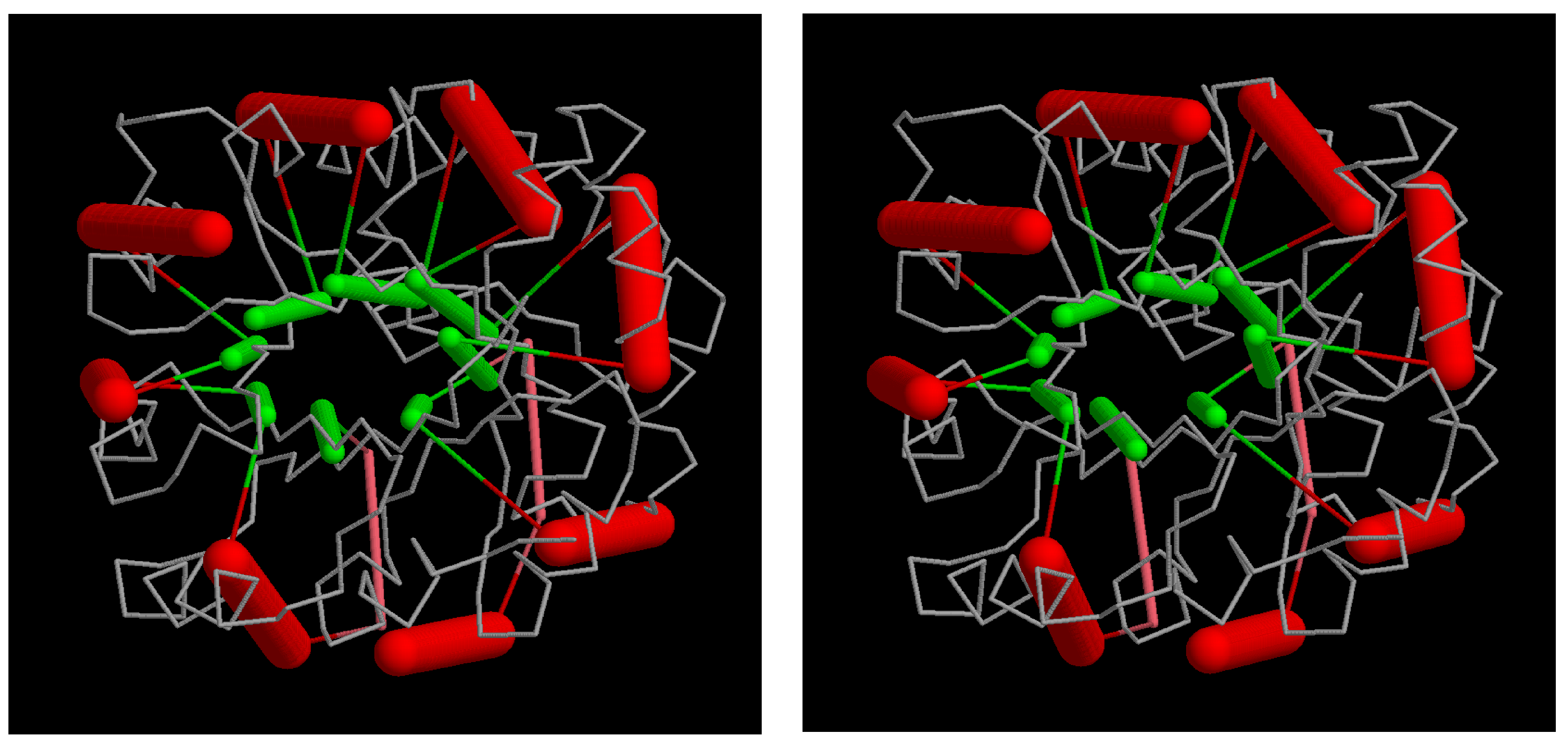 Biomolecules 10 00193 g011 Biomolecules 10 00193 g011
