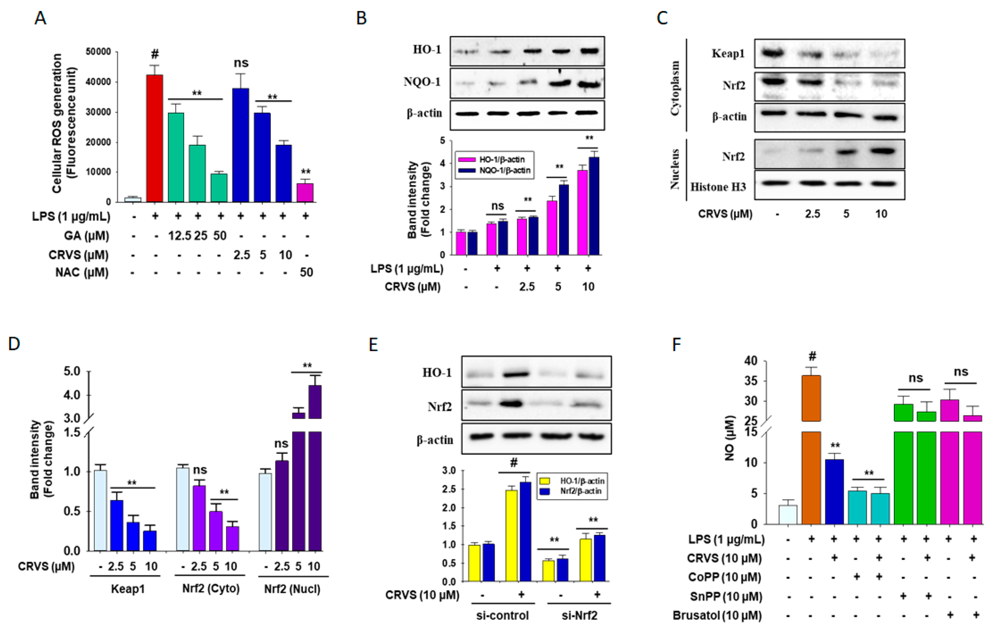 Biomolecules 10 00199 g004 Biomolecules 10 00199 g004