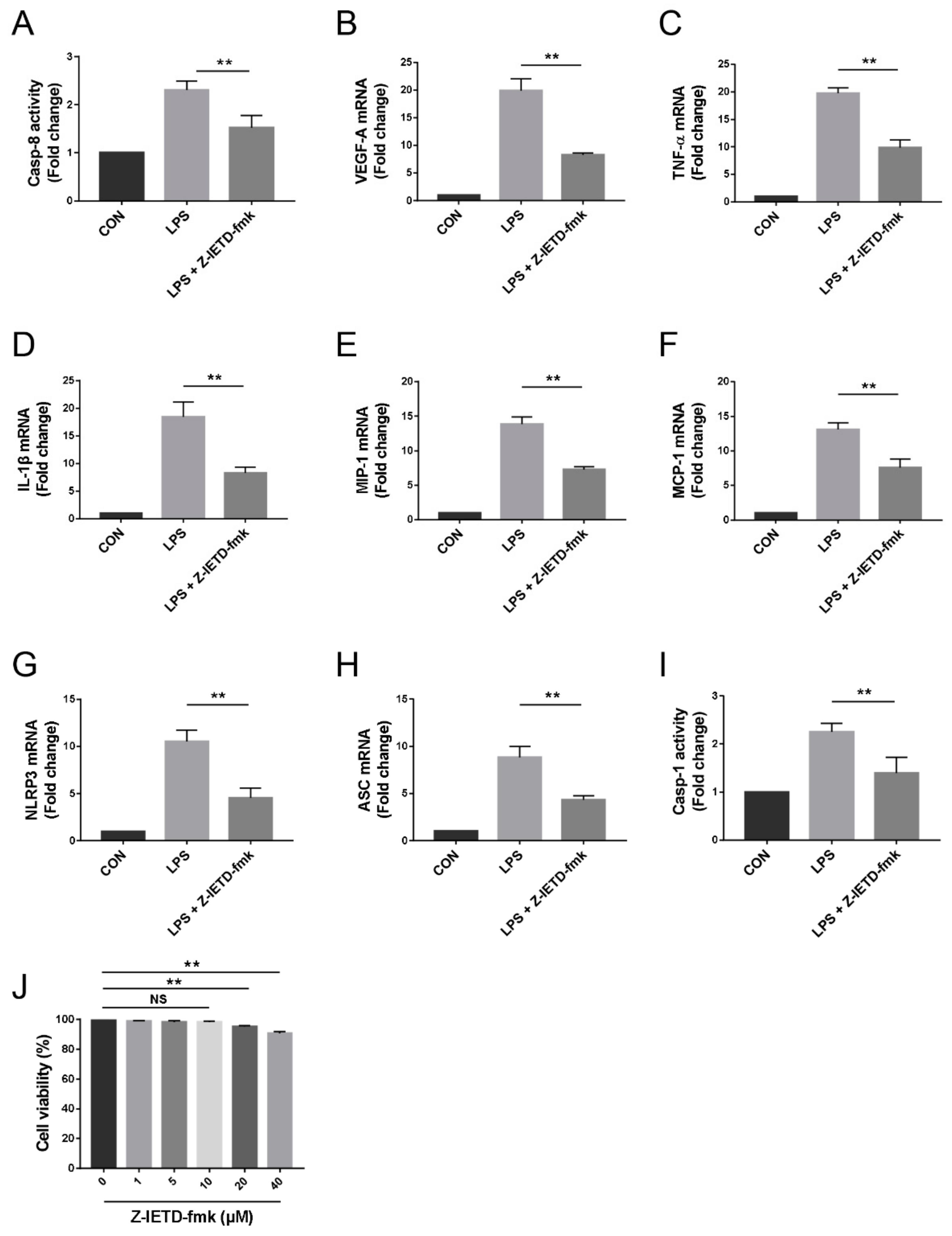 Biomolecules 10 00210 g006