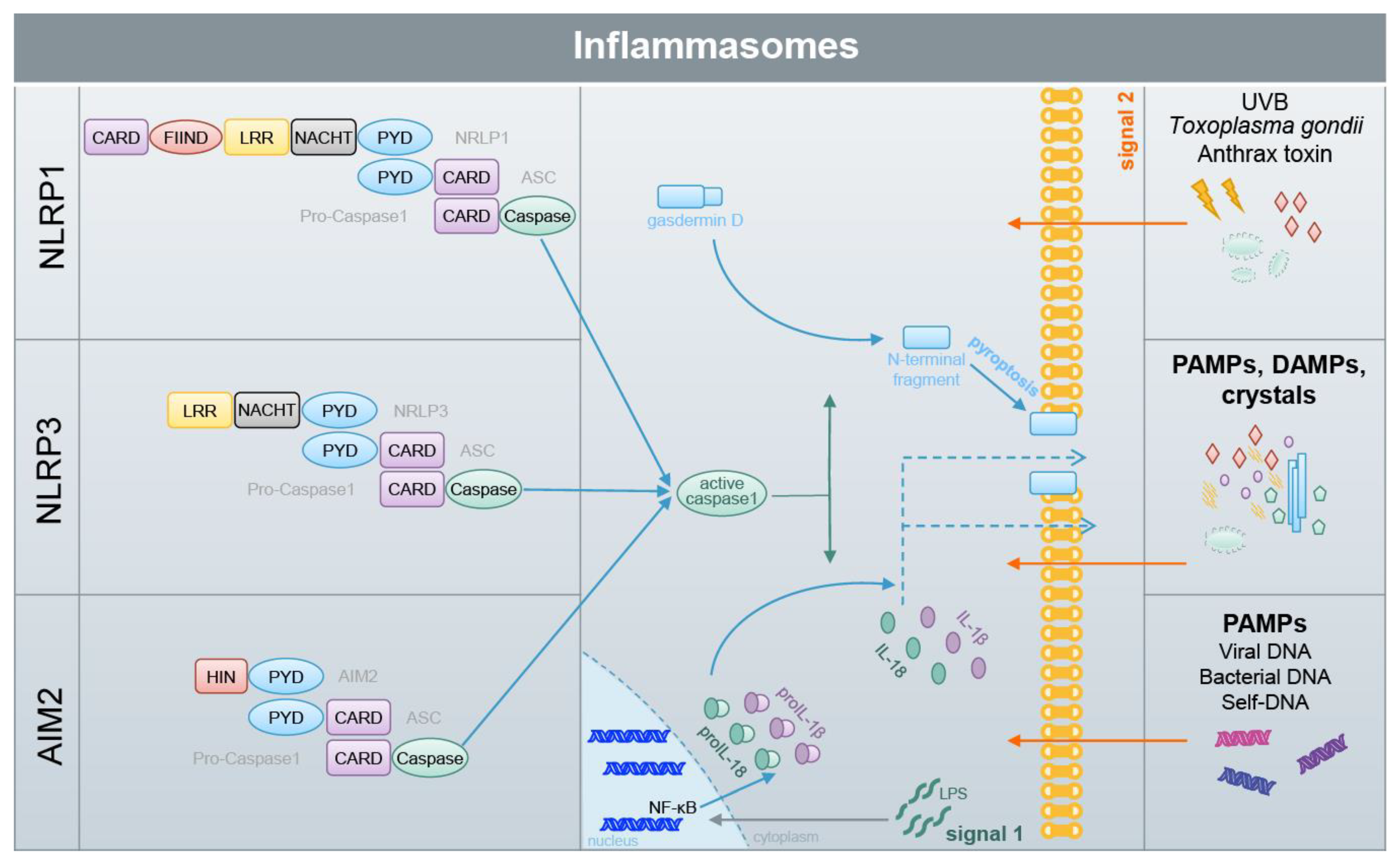 Biomolecules 10 00271 g005