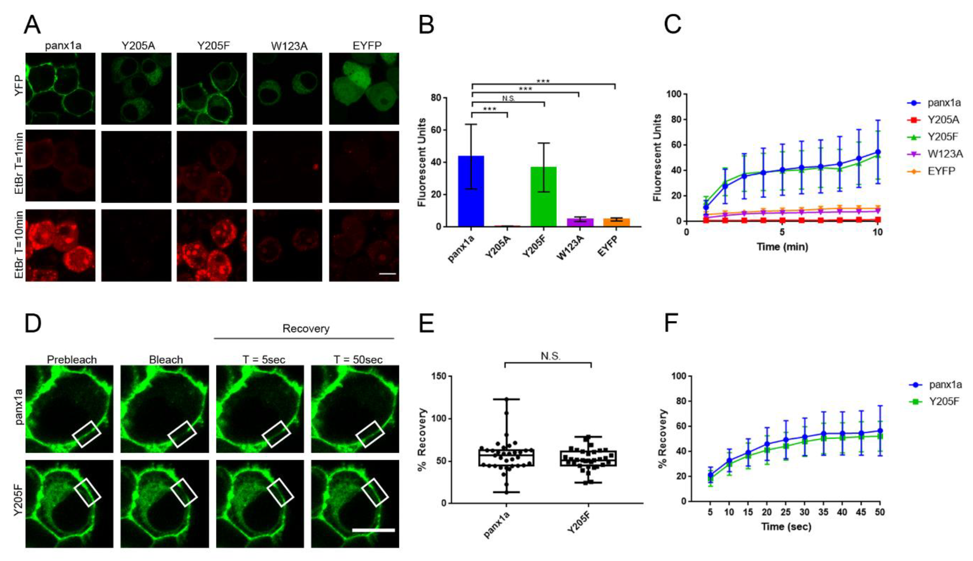 Biomolecules 10 00272 g003