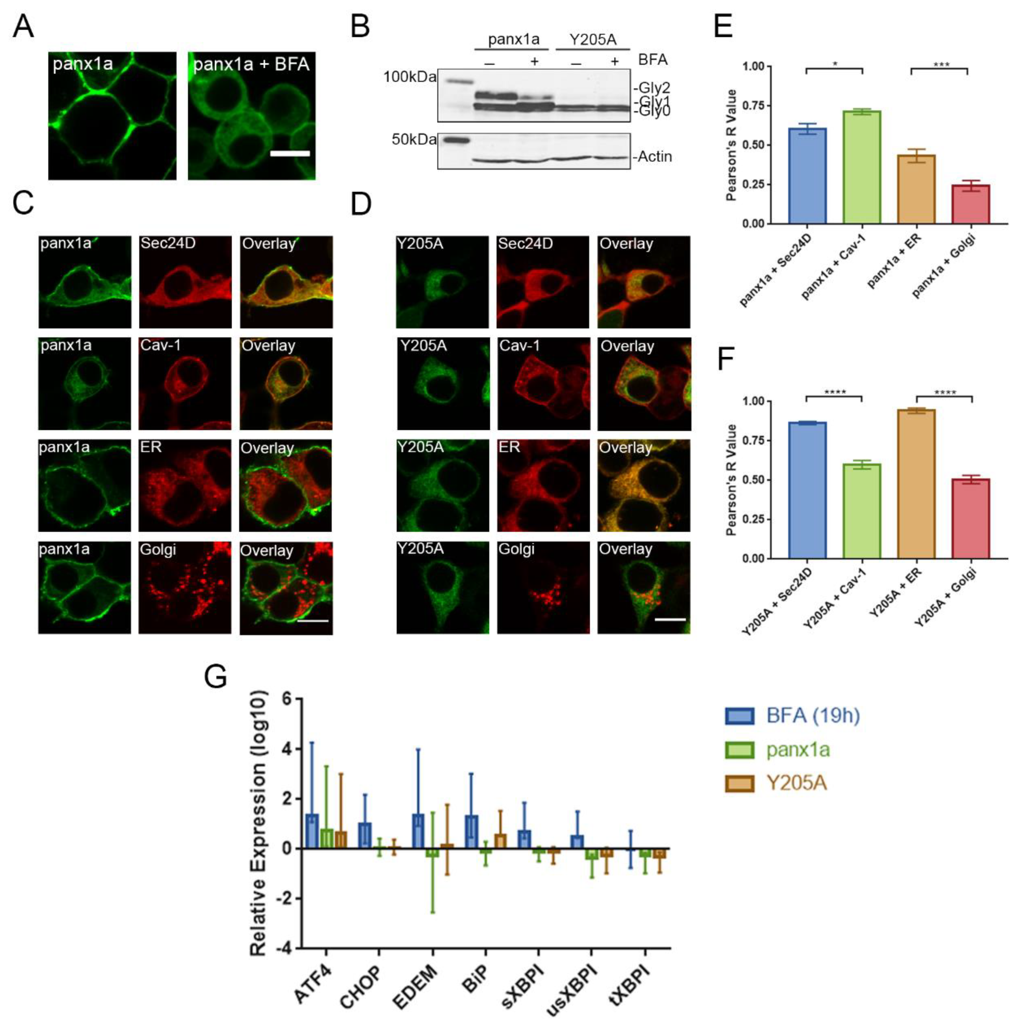 Biomolecules 10 00272 g004