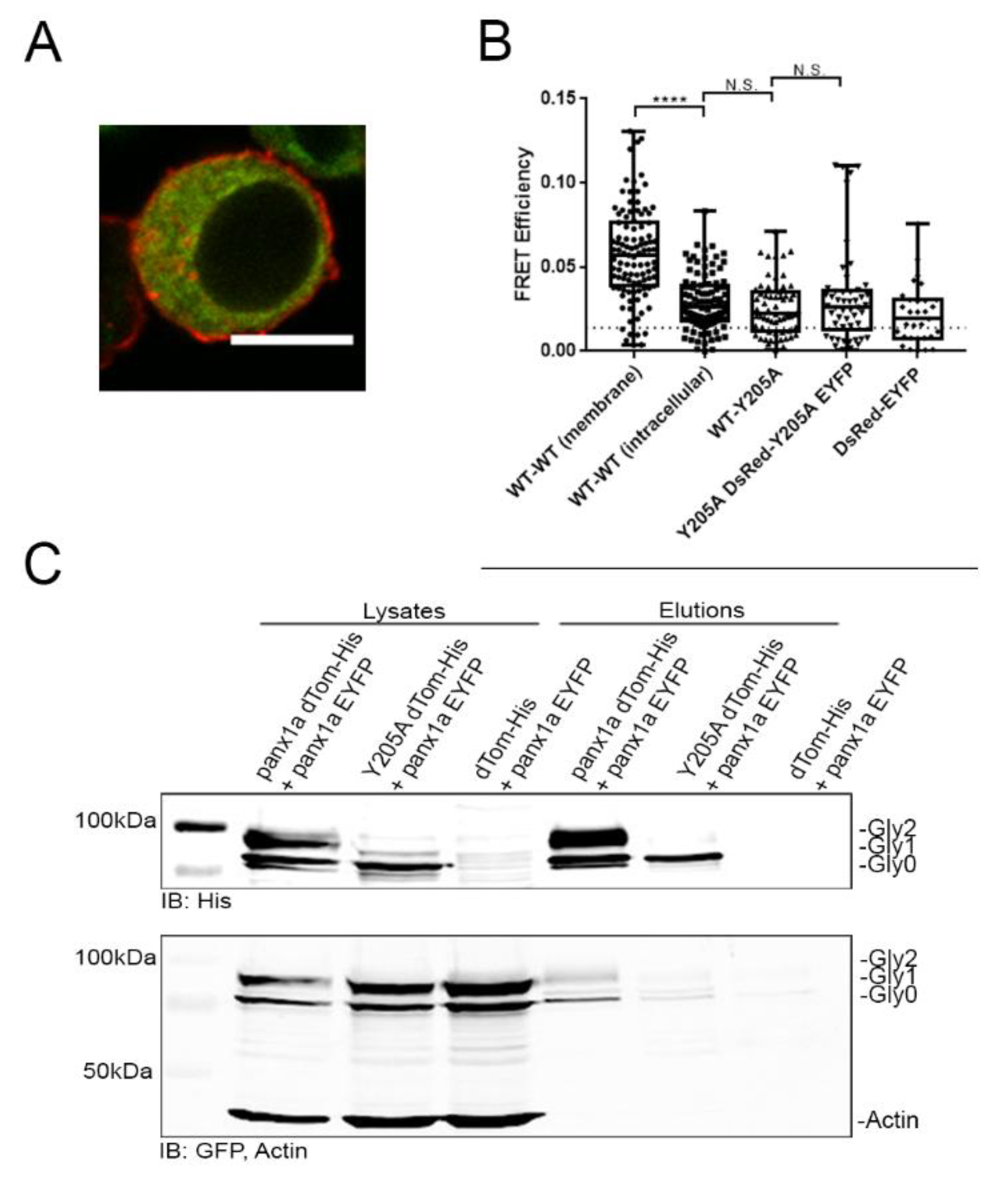 Biomolecules 10 00272 g005