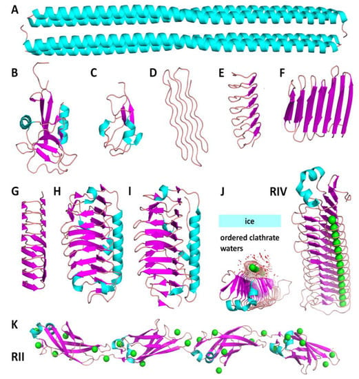 Biomolecules Free FullText Ice Binding Proteins Diverse