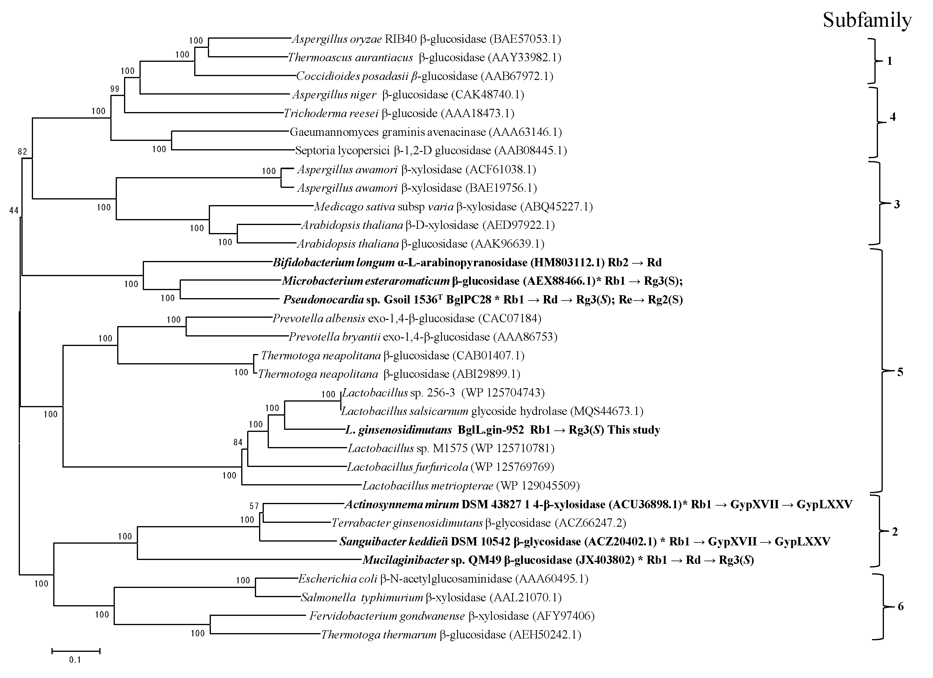 Biomolecules 10 00288 g003 Biomolecules 10 00288 g003