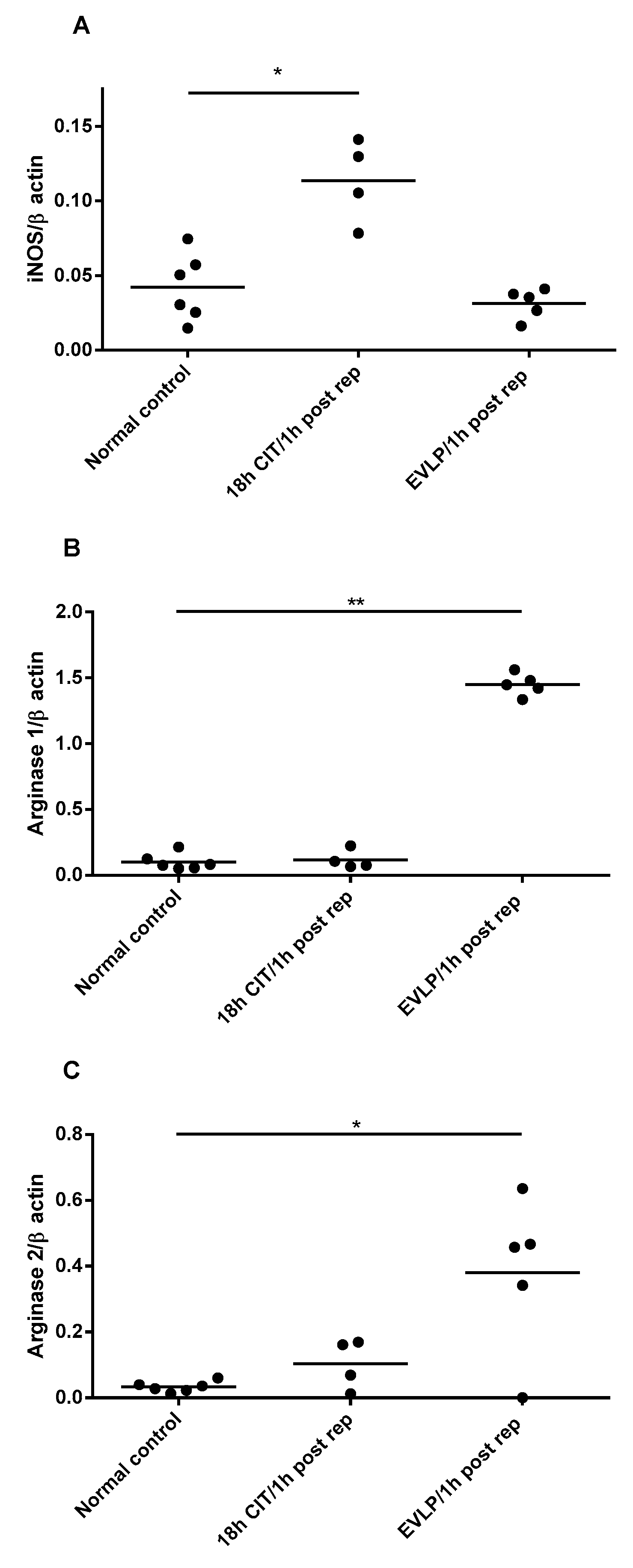 Biomolecules 10 00300 g004 Biomolecules 10 00300 g004