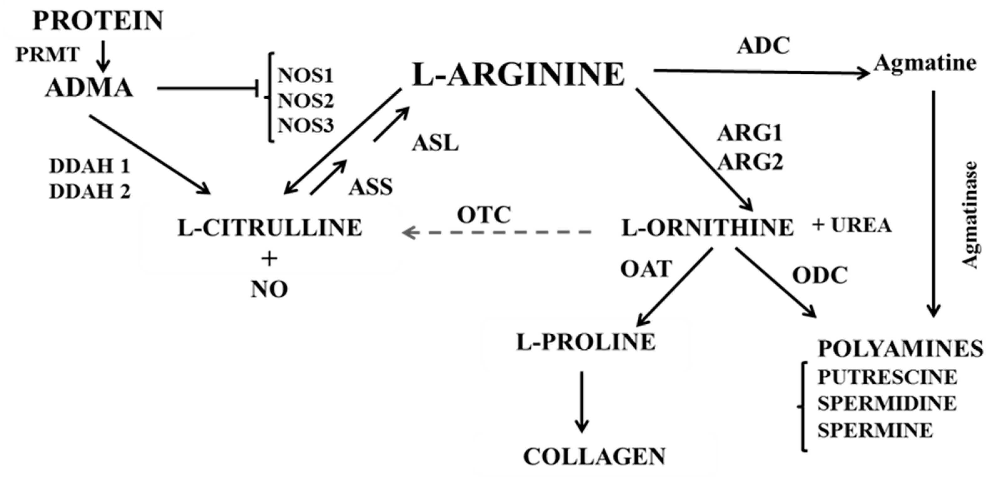 Biomolecules 10 00300 g005 Biomolecules 10 00300 g005