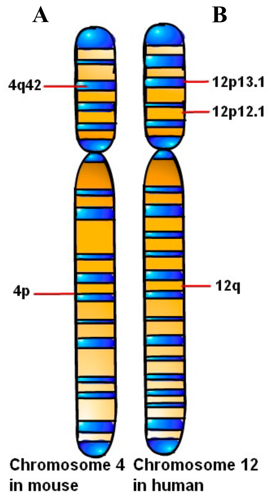 Biomolecules 10 00301 g002