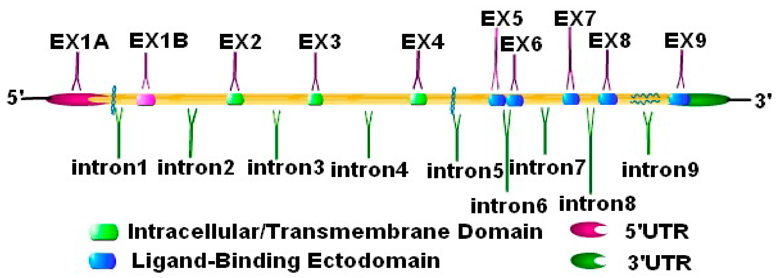Biomolecules 10 00301 g003