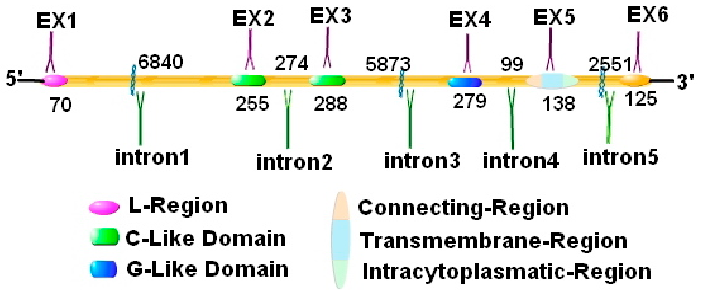 Biomolecules 10 00301 g004