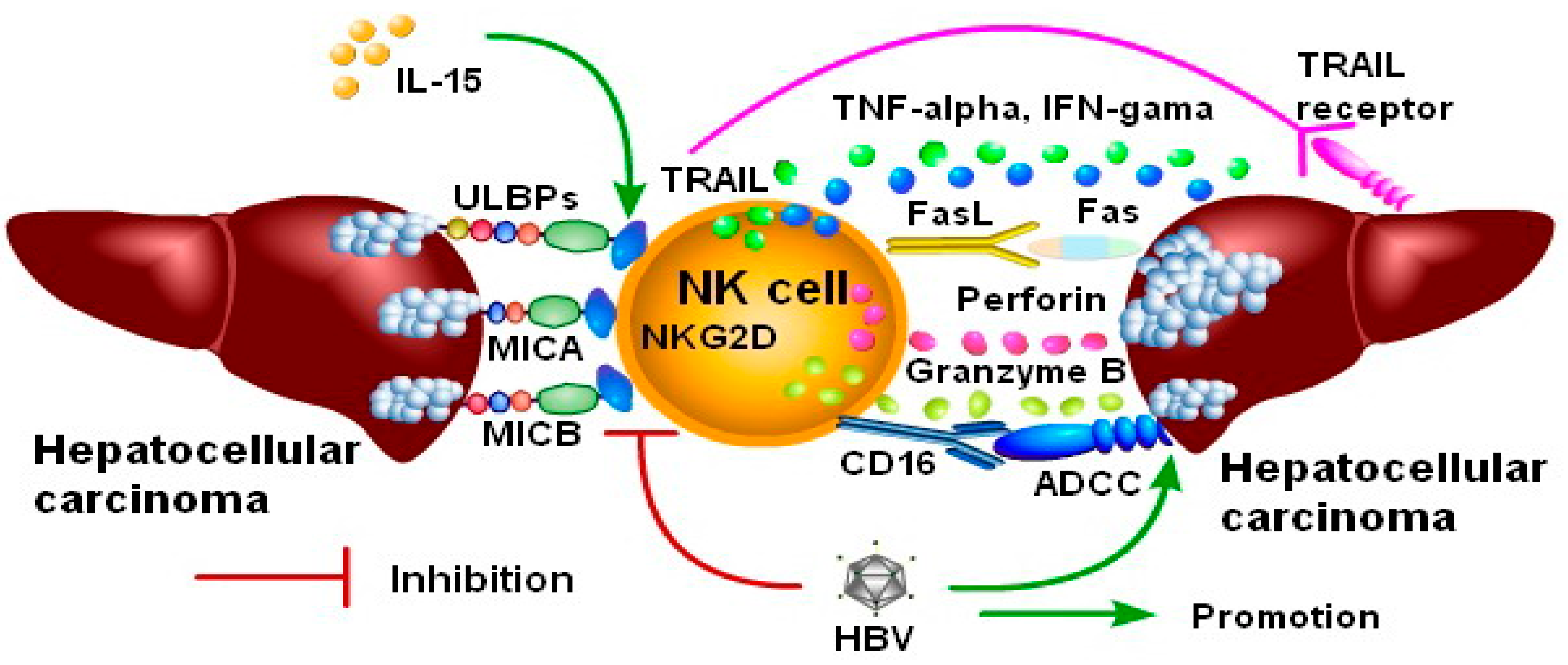 Biomolecules 10 00301 g006