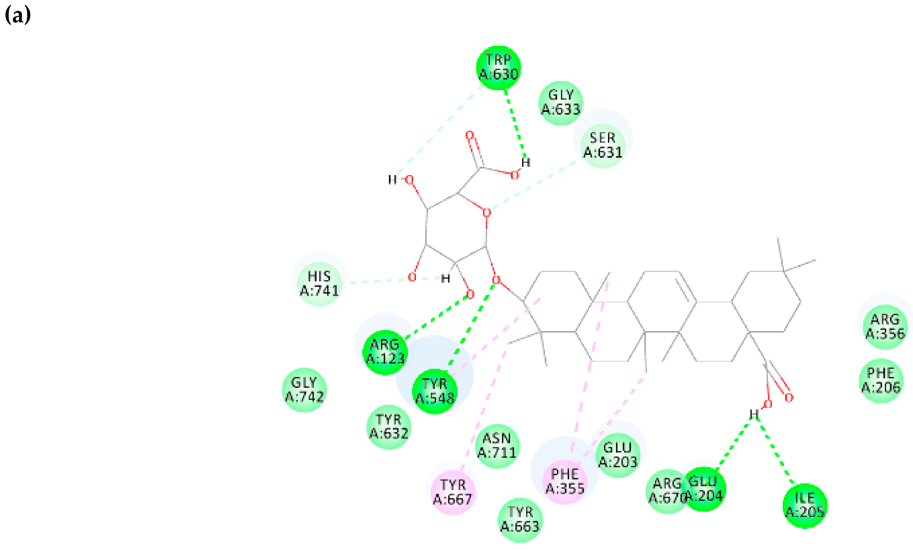 Biomolecules 10 00305 g009a Biomolecules 10 00305 g009a