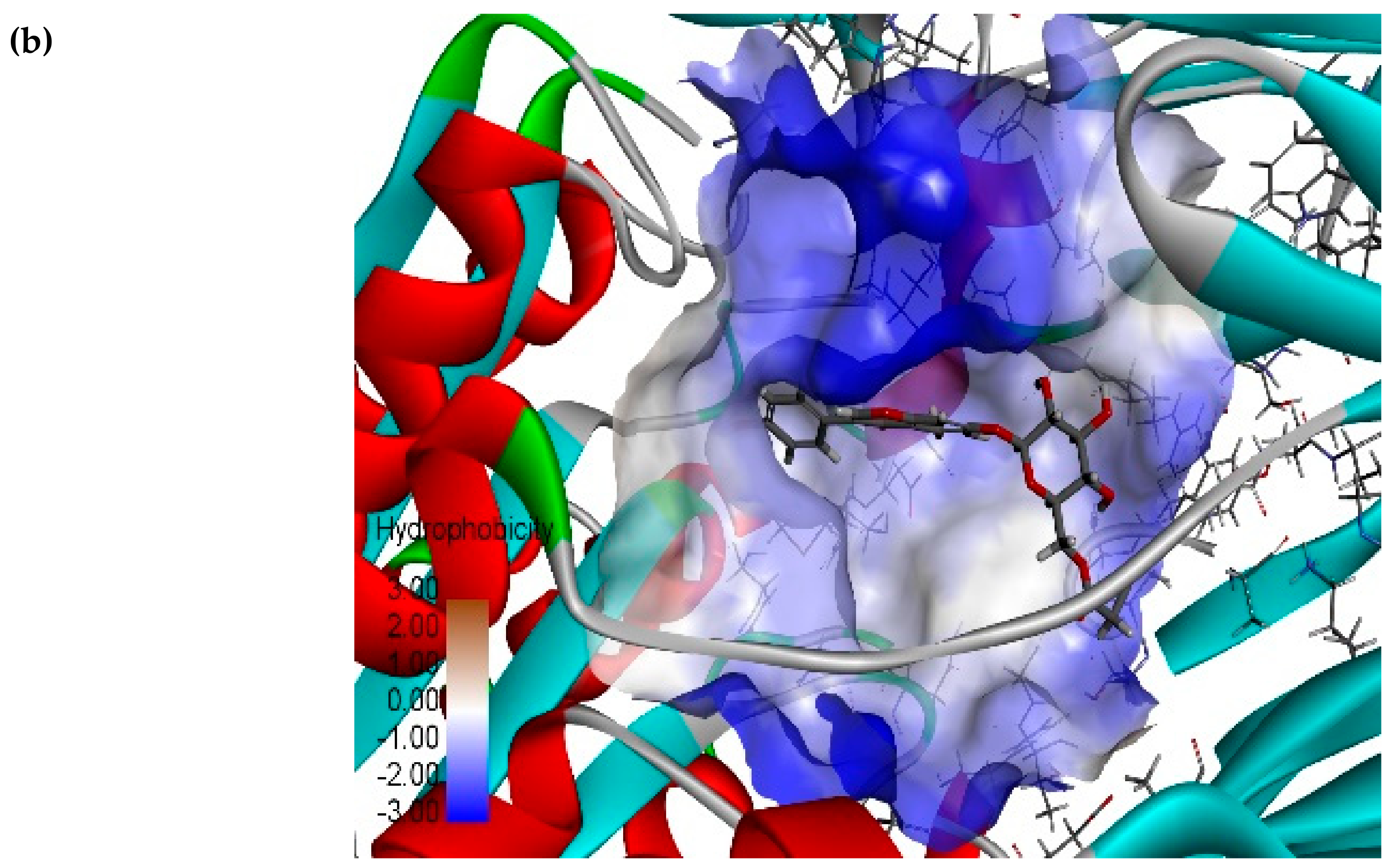 Biomolecules 10 00305 g009b Biomolecules 10 00305 g009b