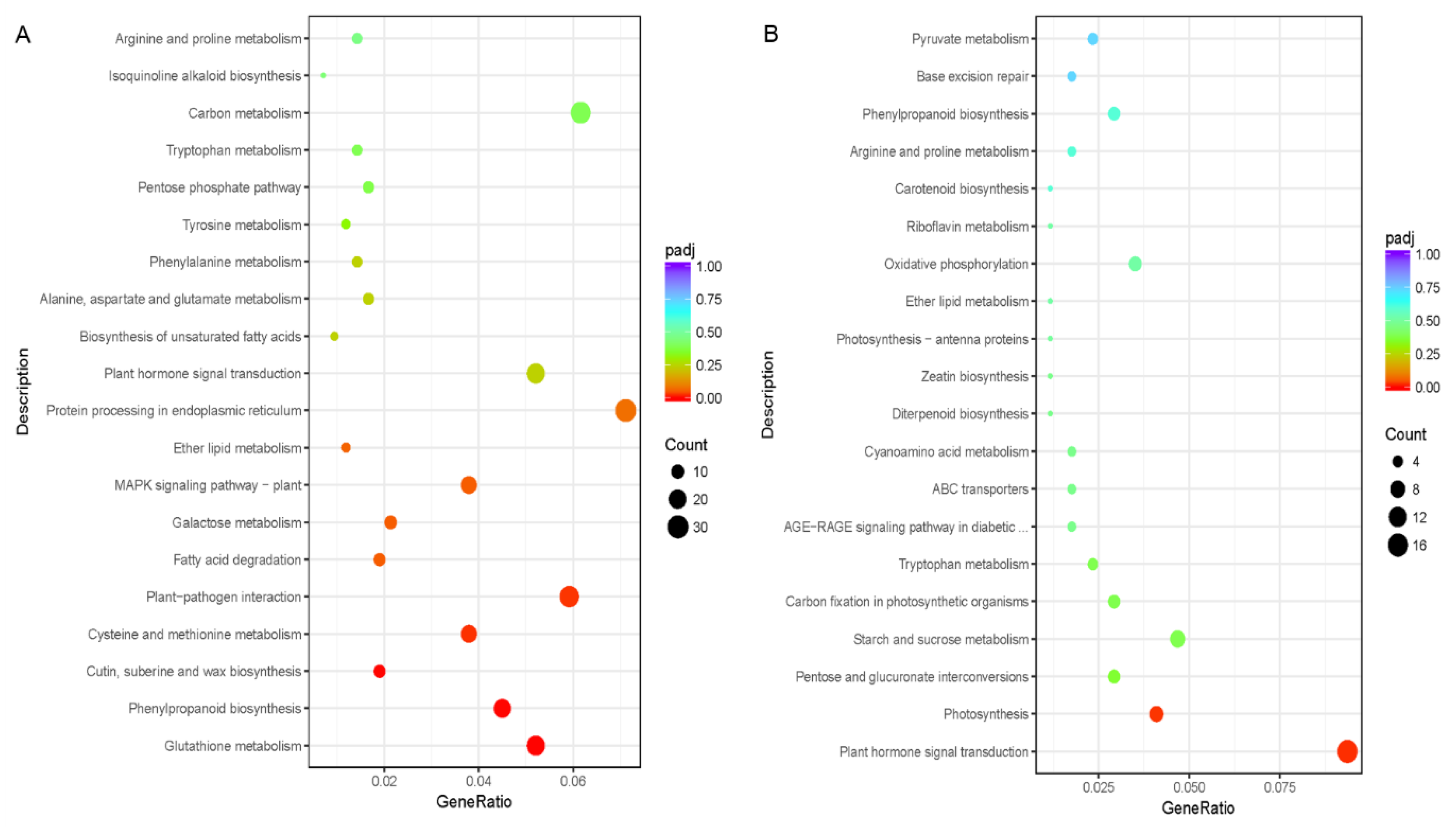 Biomolecules 10 00311 g002 Biomolecules 10 00311 g002