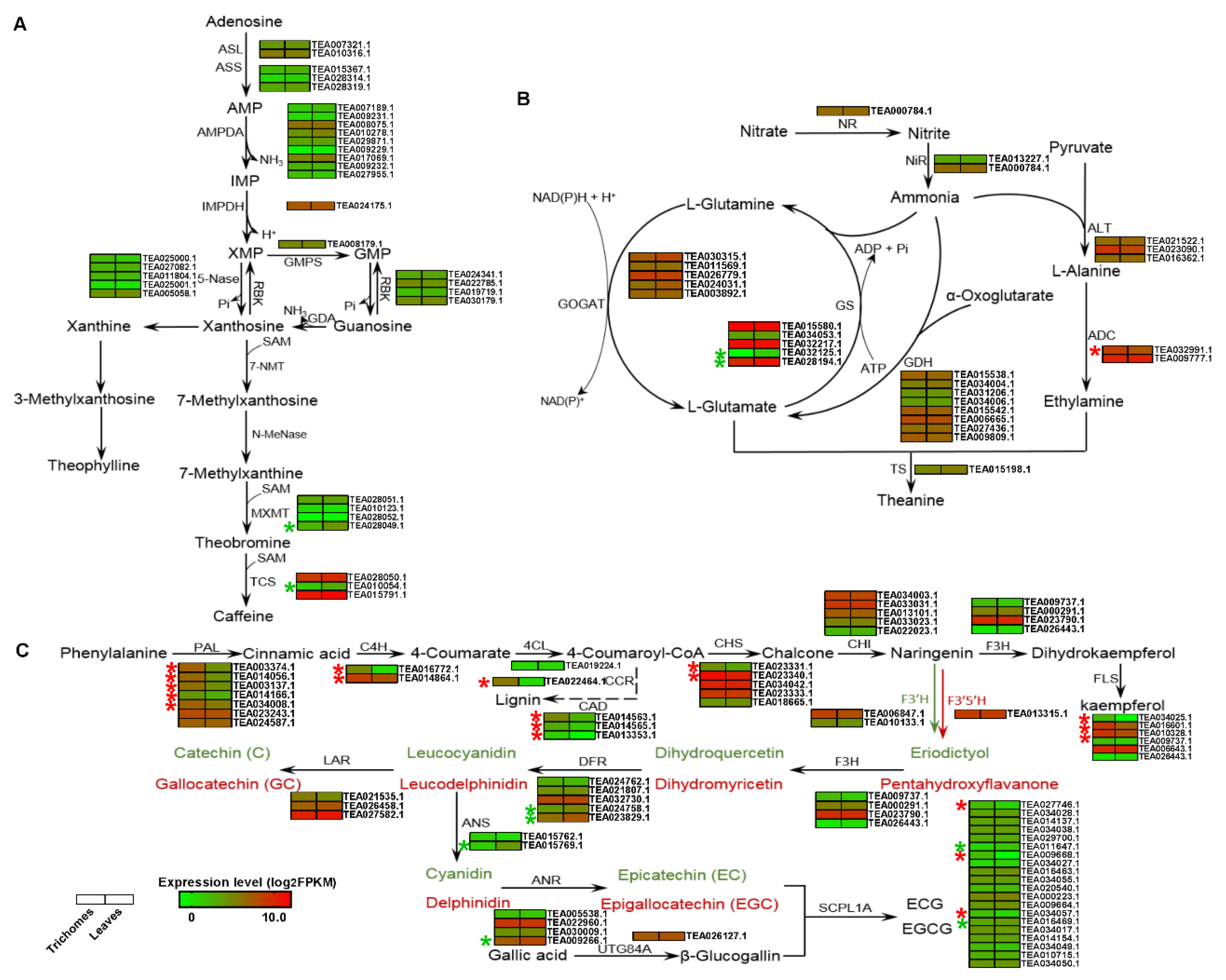 Biomolecules 10 00311 g003 Biomolecules 10 00311 g003