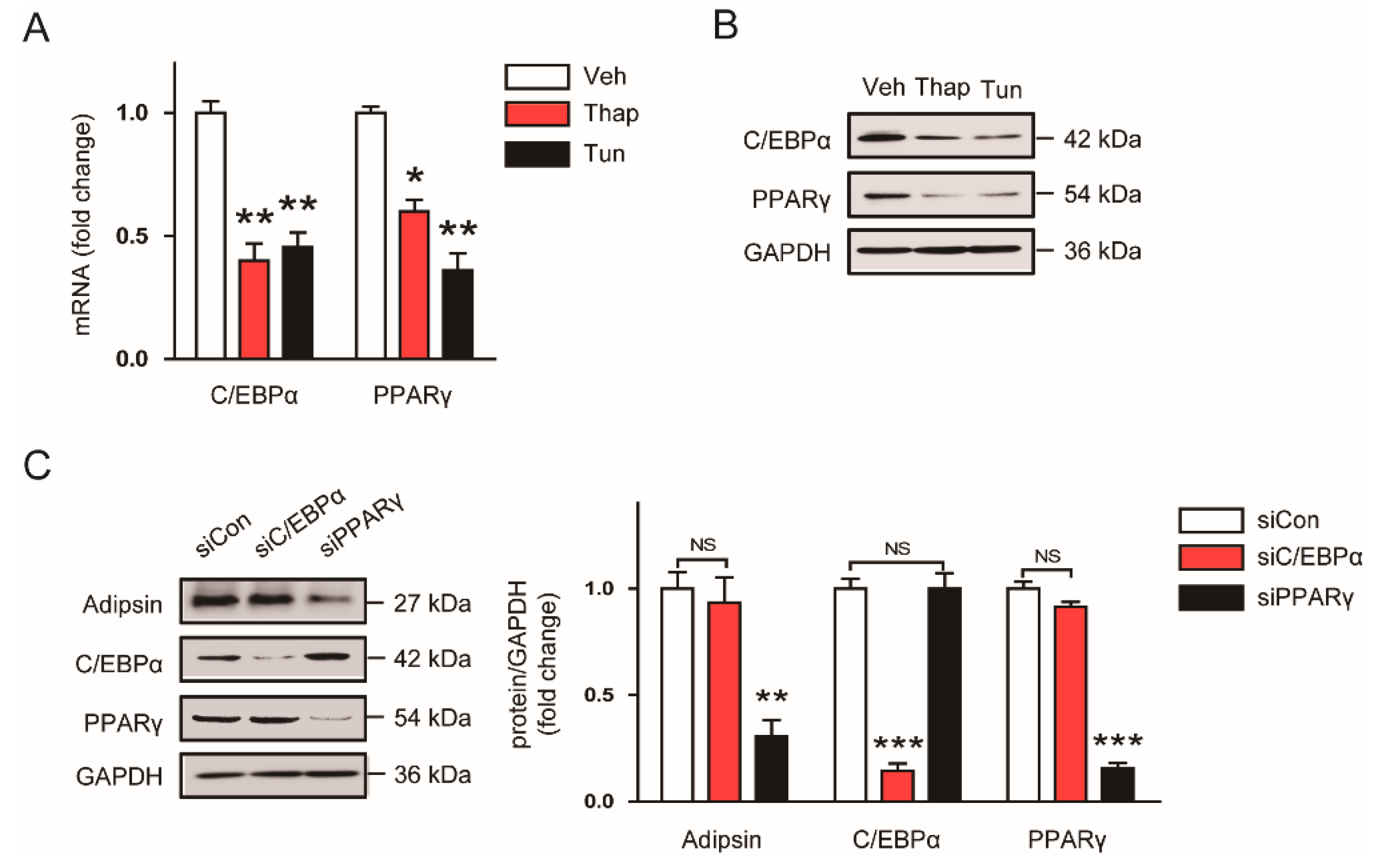Biomolecules 10 00314 g005