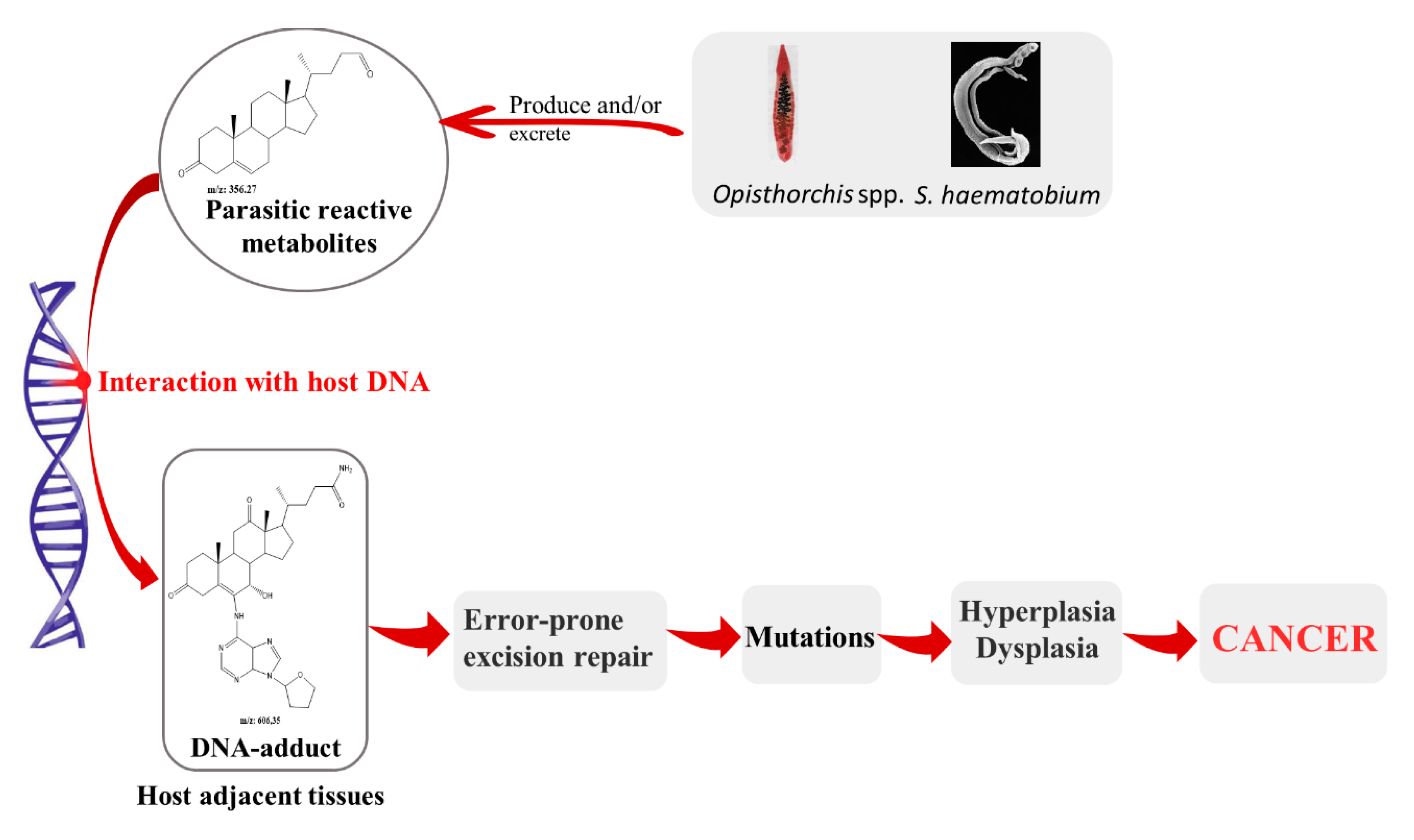 Biomolecules 10 00350 g002