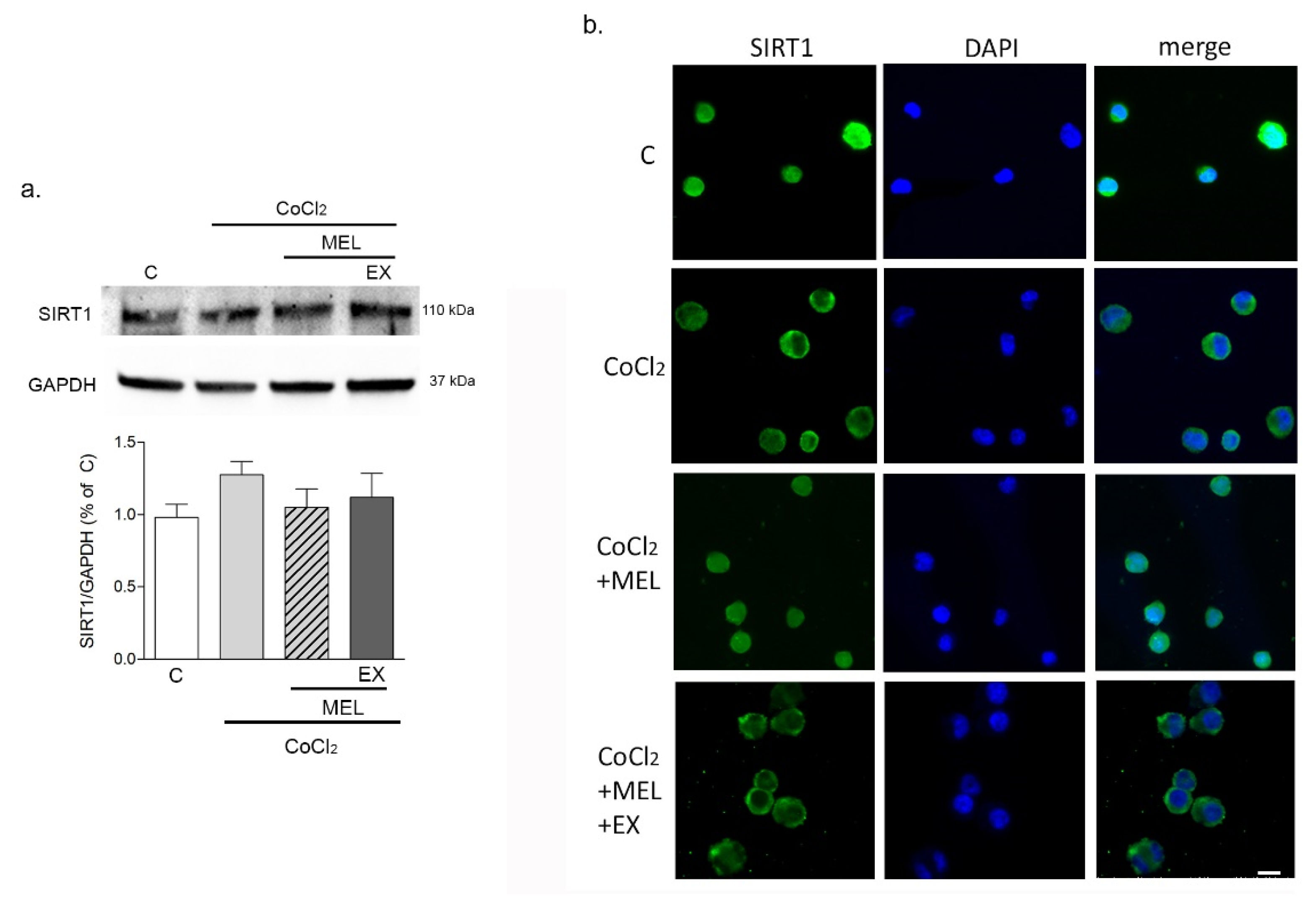 Biomolecules 10 00364 g004 Biomolecules 10 00364 g004
