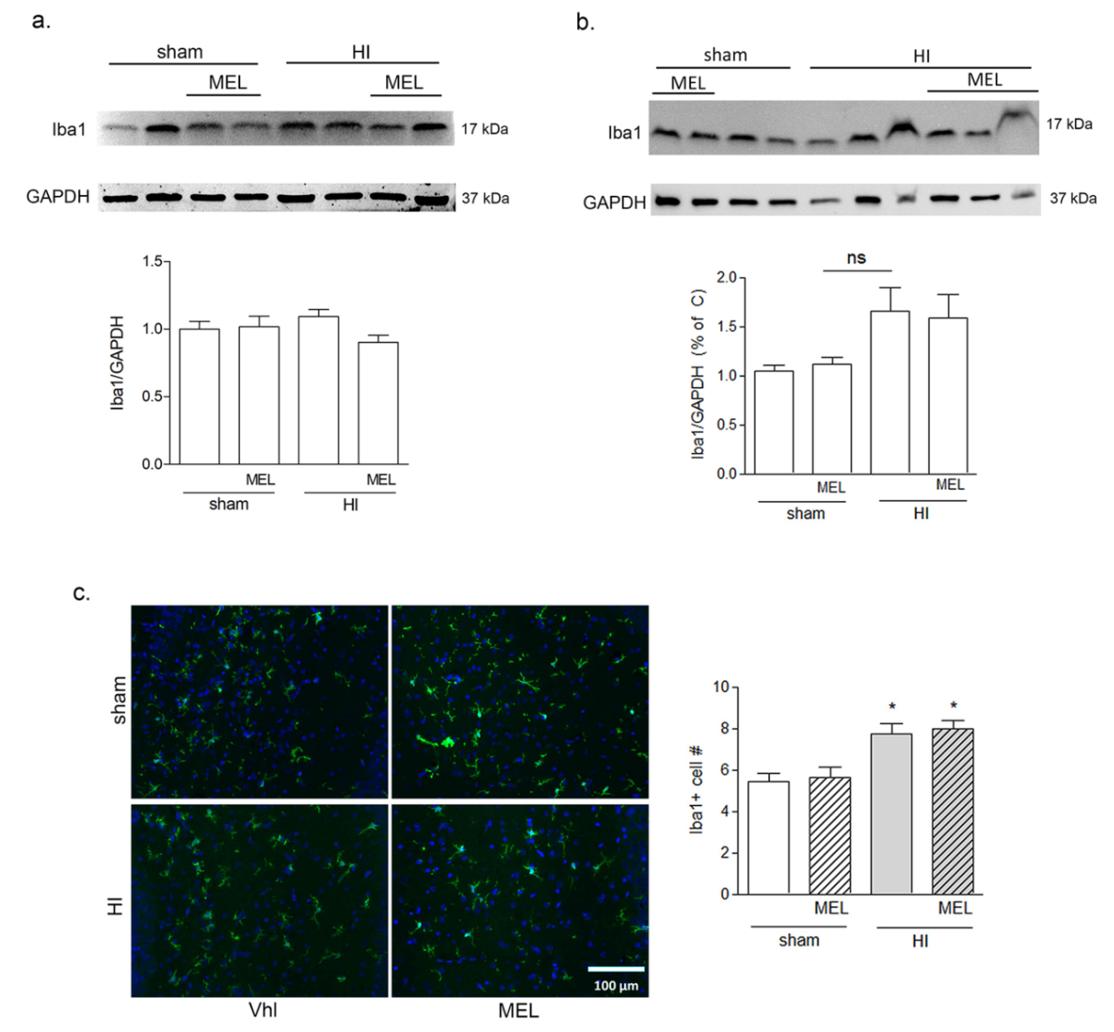 Biomolecules 10 00364 g008 Biomolecules 10 00364 g008