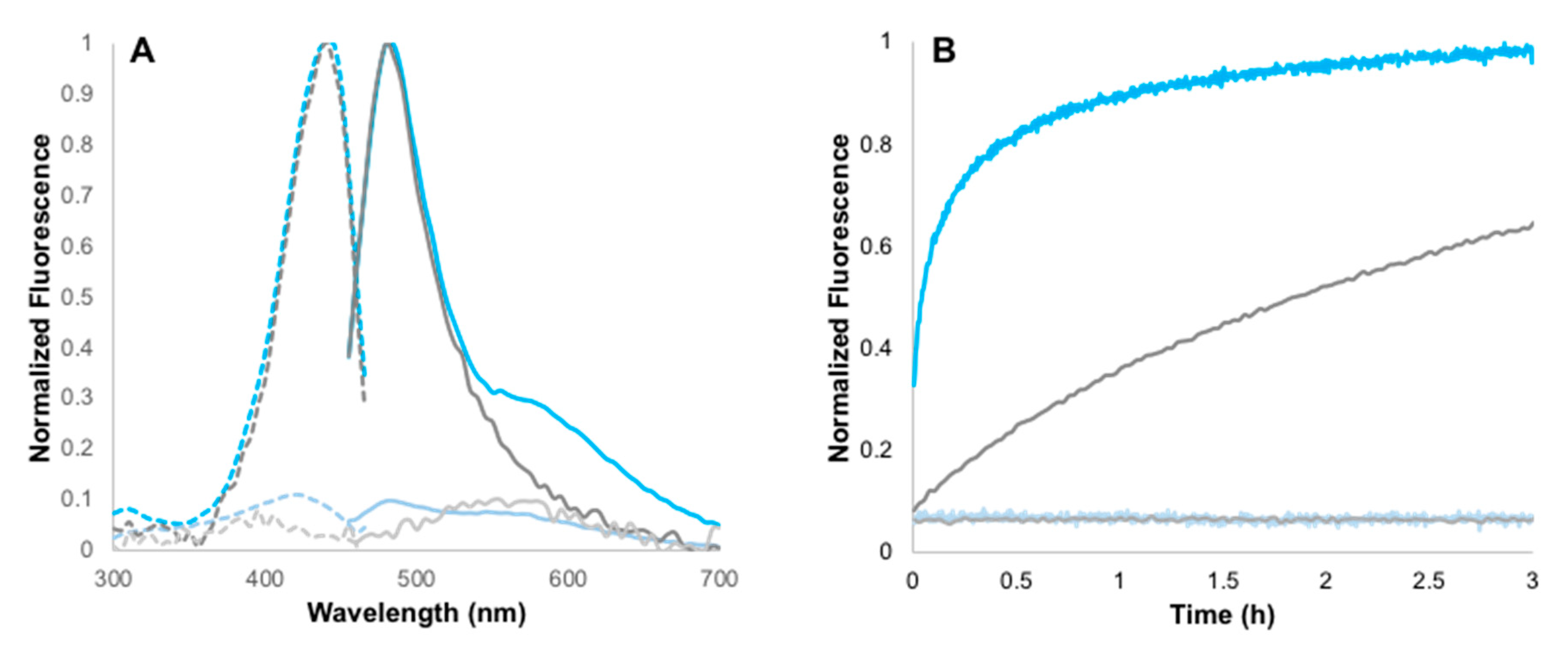 Biomolecules 10 00369 g003