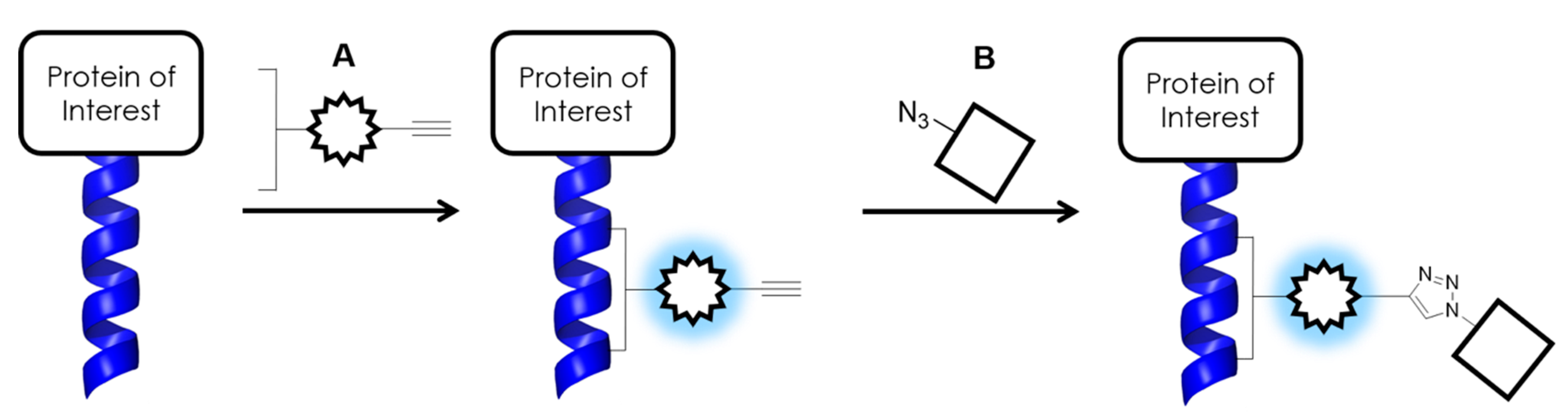 Biomolecules 10 00369 sch001