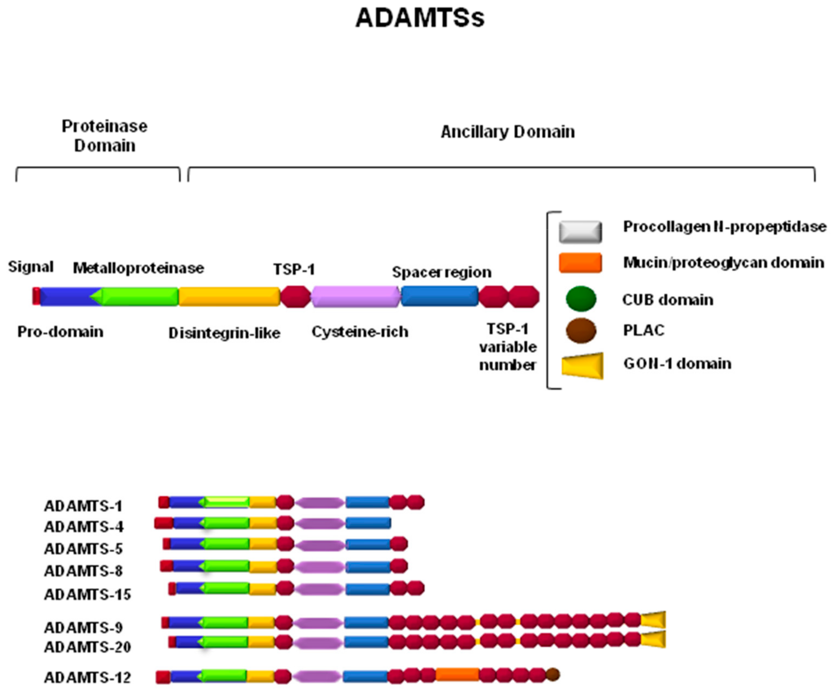 Biomolecules 10 00403 g002 Biomolecules 10 00403 g002