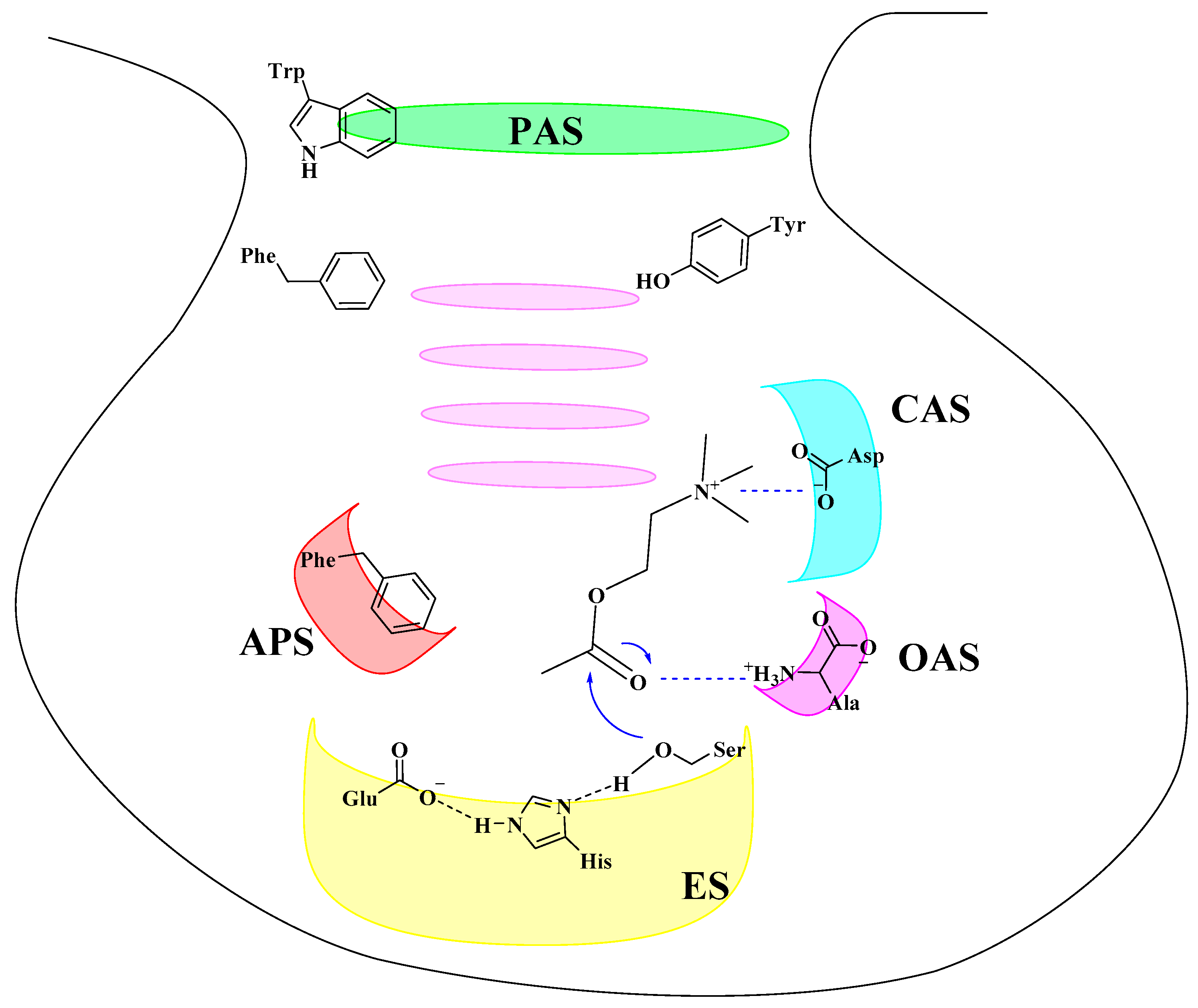 Biomolecules 10 00414 g009 Biomolecules 10 00414 g009