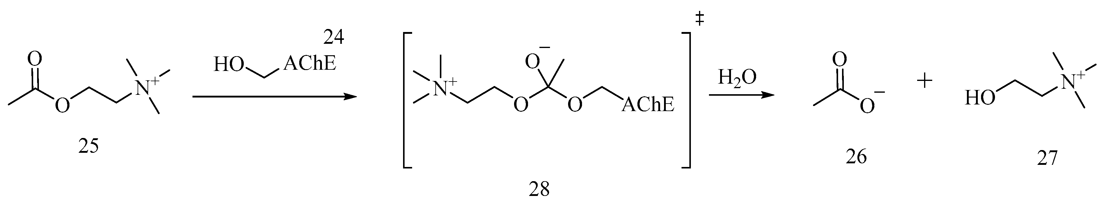 Biomolecules 10 00414 sch002 Biomolecules 10 00414 sch002