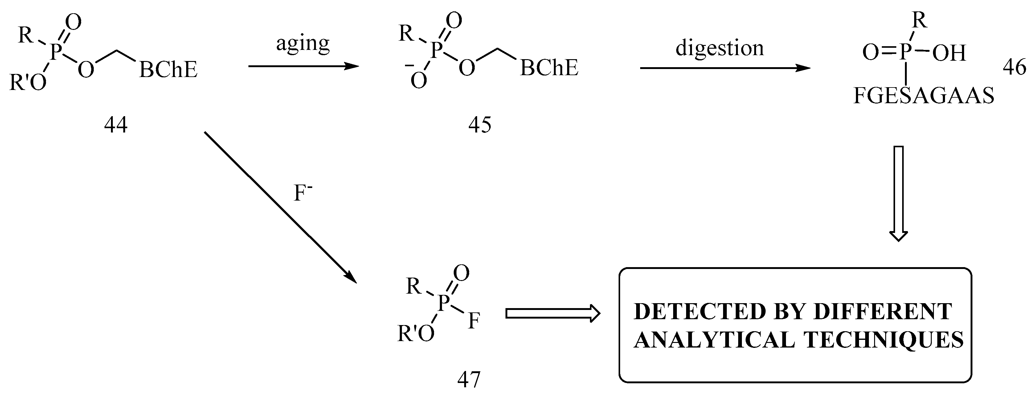 Biomolecules 10 00414 sch005 Biomolecules 10 00414 sch005